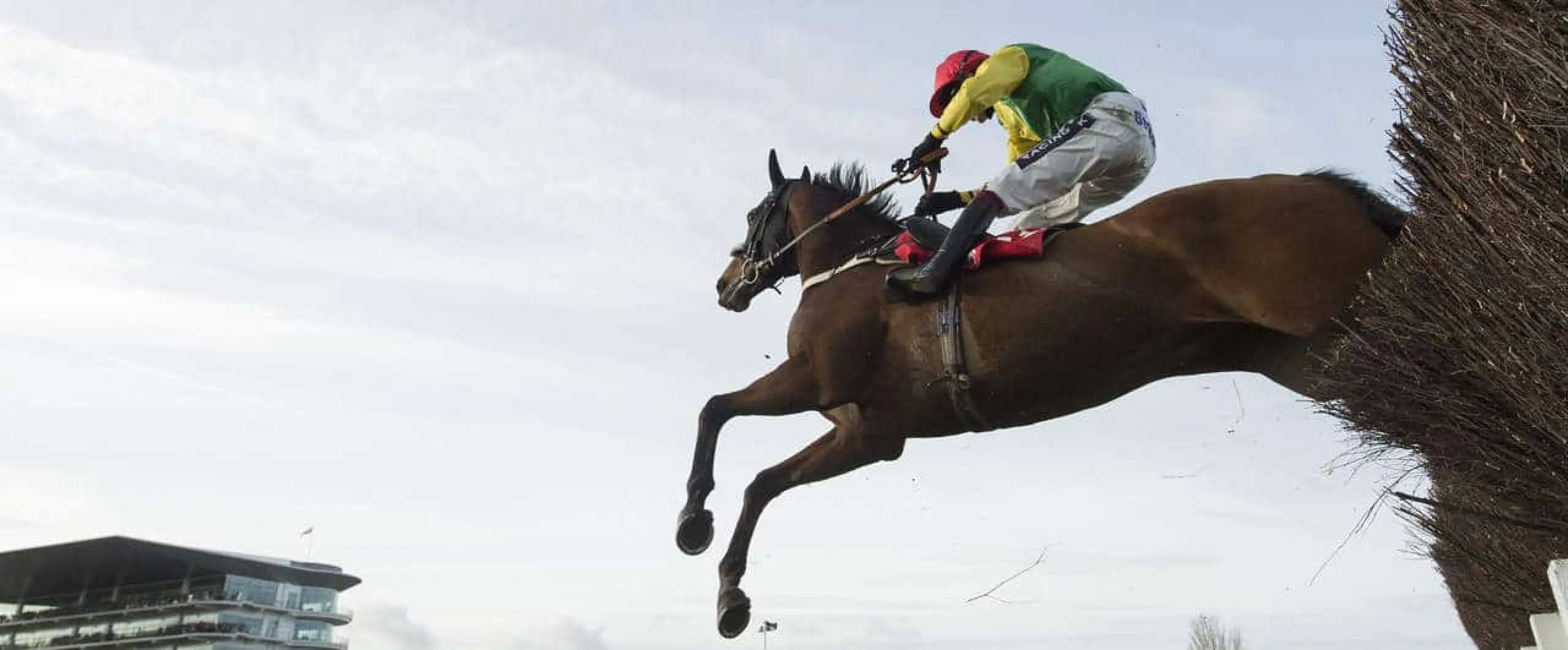 Queen Mother Champion Chase Ante Post Tips