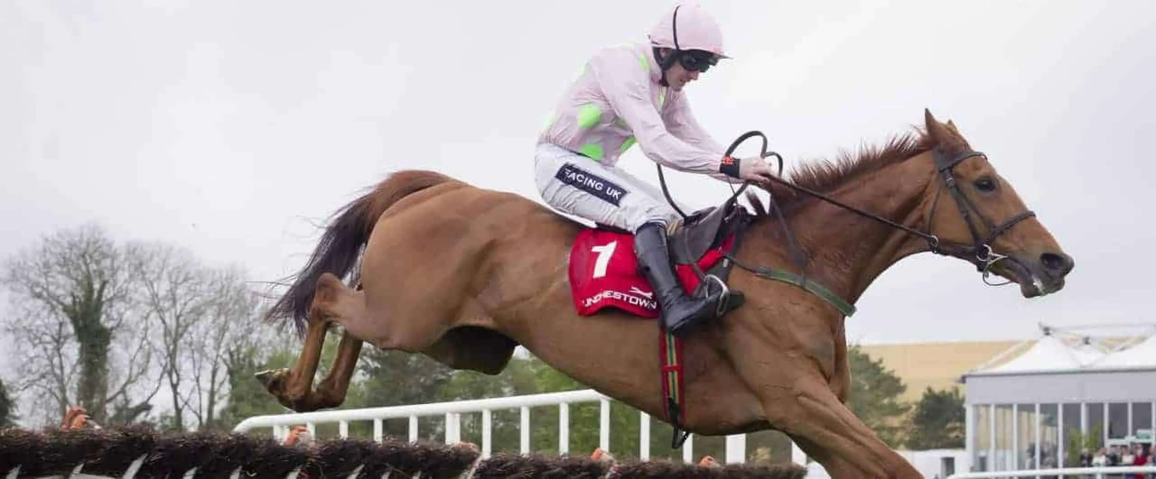 Five great winners of the Coral Hurdle at Ascot