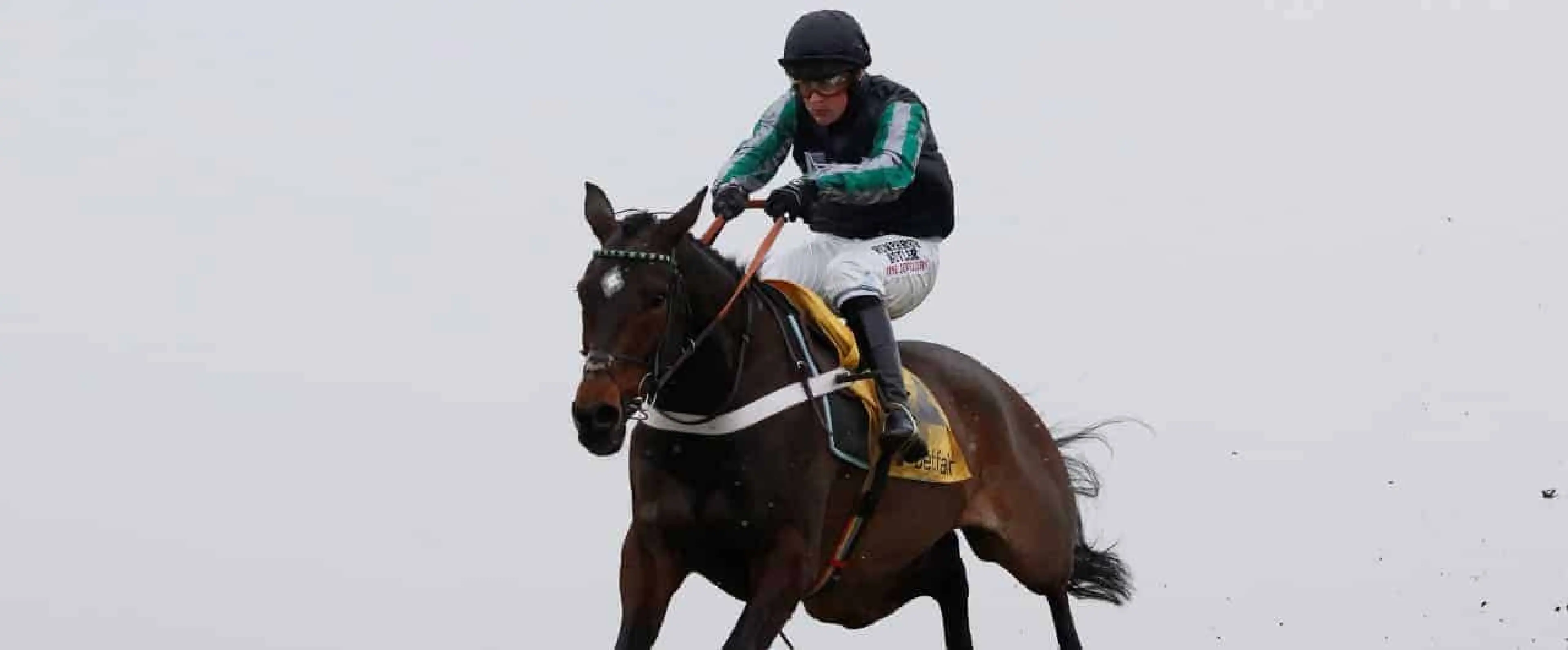 Cheltenham betting news