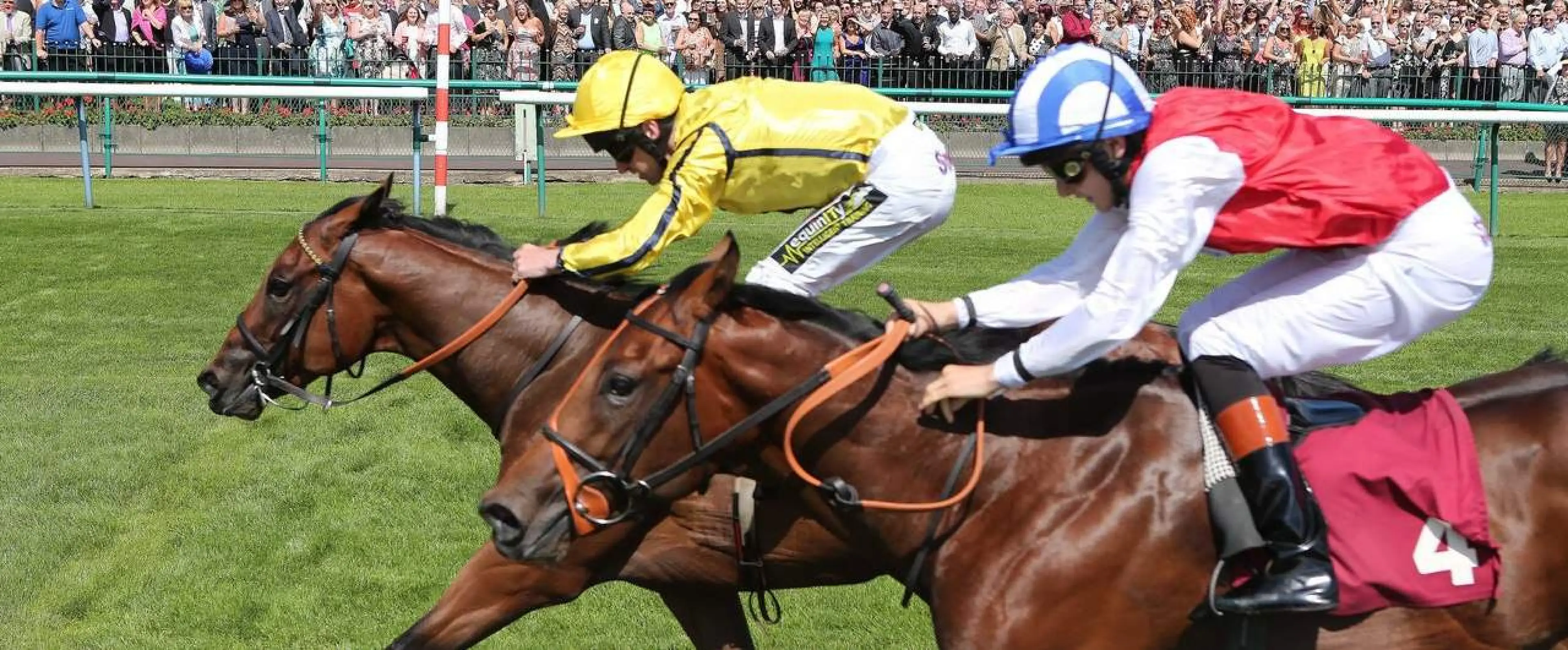 Coral's 2016 Ascot Challenge Cup tips contains Squats odds and Firmament bets, plus Suzi's Connoisseur each-way.