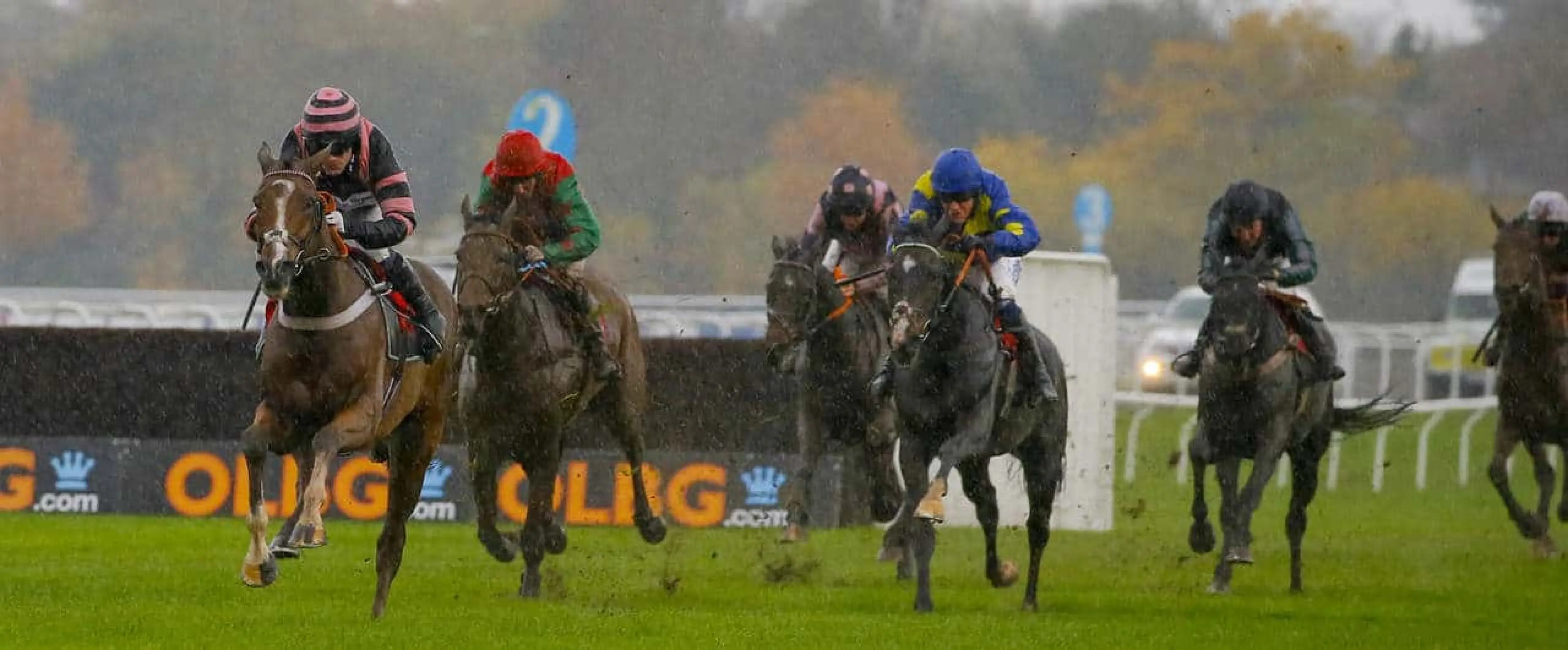 Ascot tips December 16