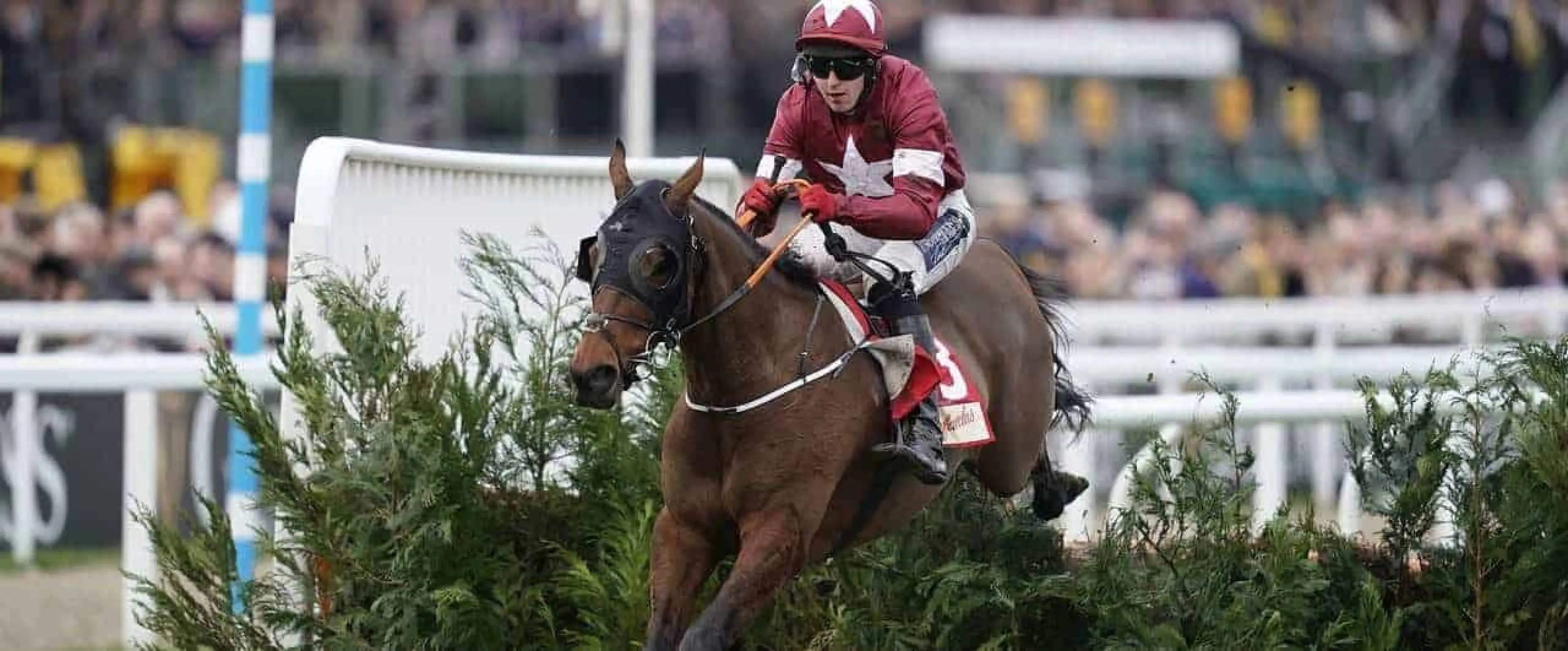 Tiger Roll Grand National 2019