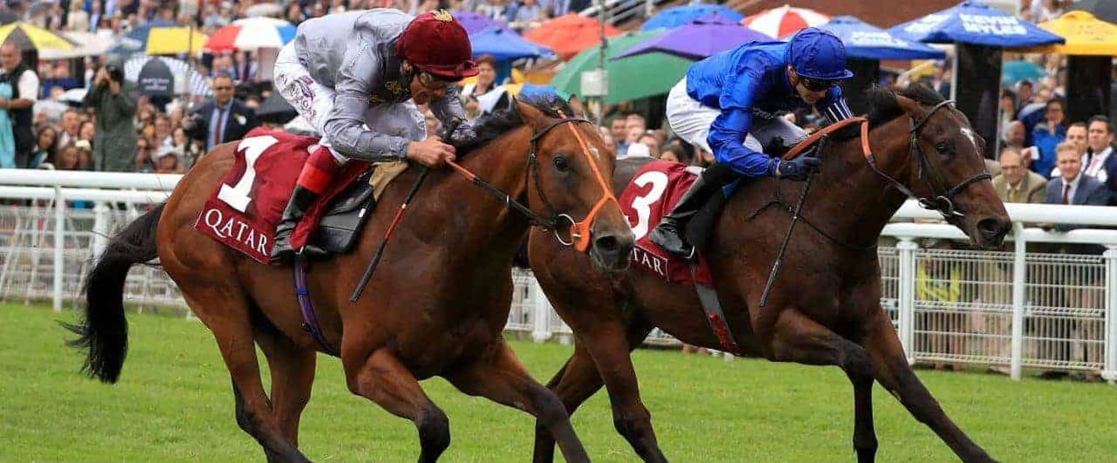 Champion Sprint Stake odds, Blue Point odds, Harry Angel odds