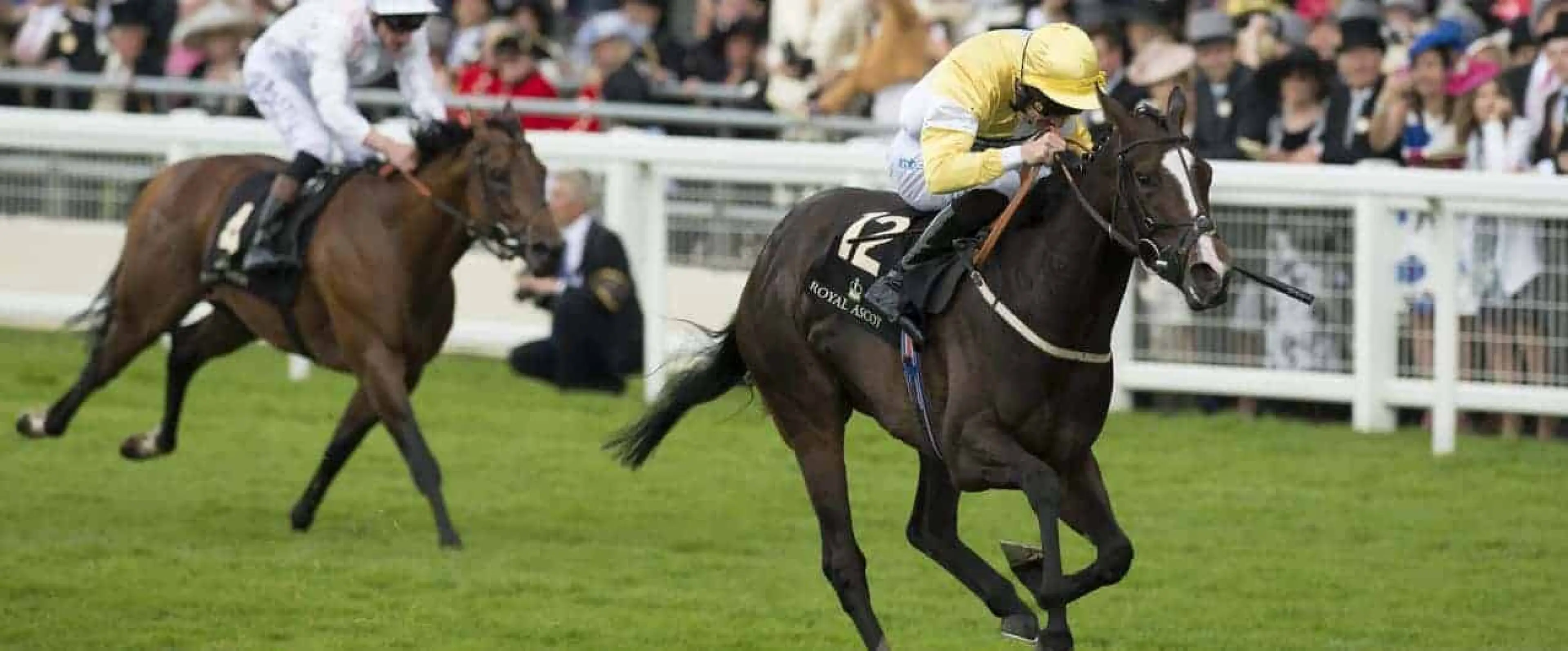 Quiet Reflection odds rate among top 2016 Haydock Sprint Cup tips from Coral horse racing experts.