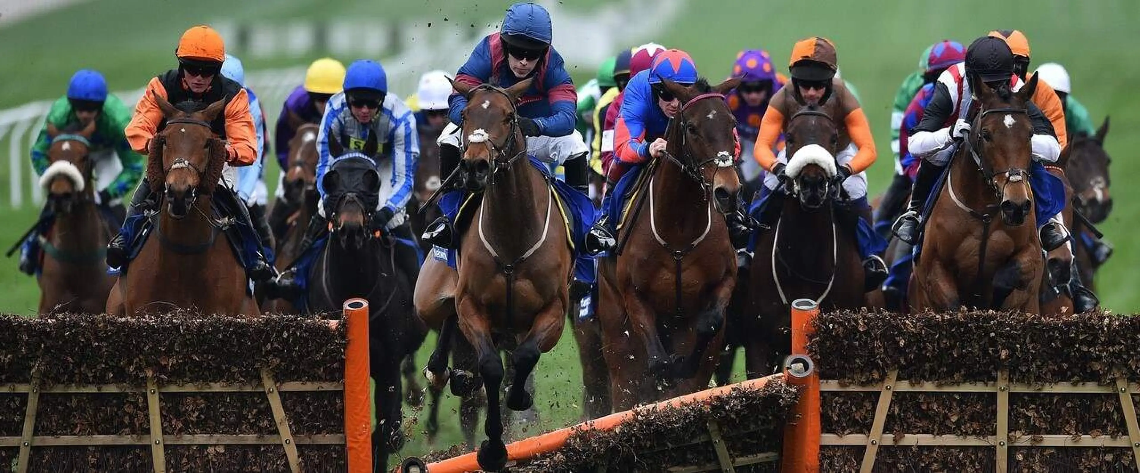 Arctic Gold' ridden by jockey Tom Humphries on the third day of the Cheltenham Festival