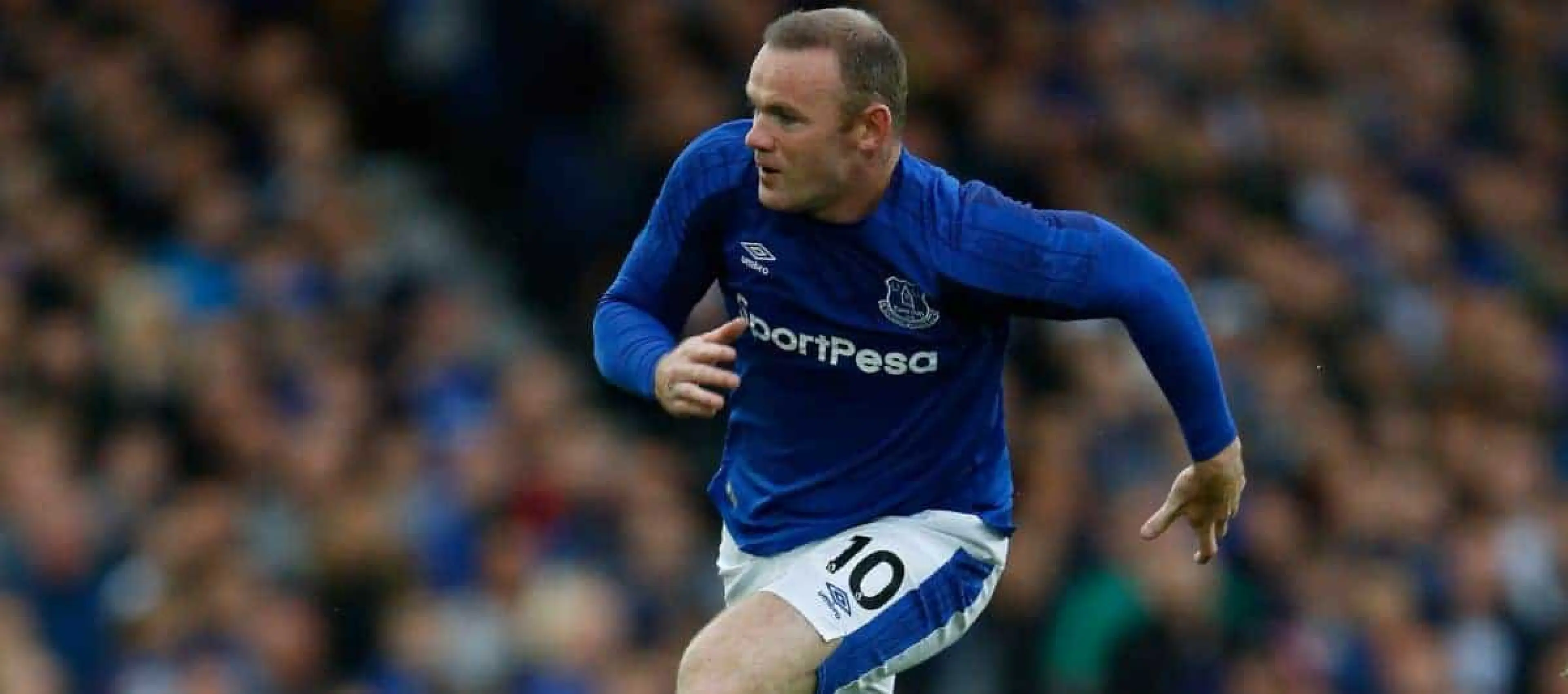 Wayne Rooney odds