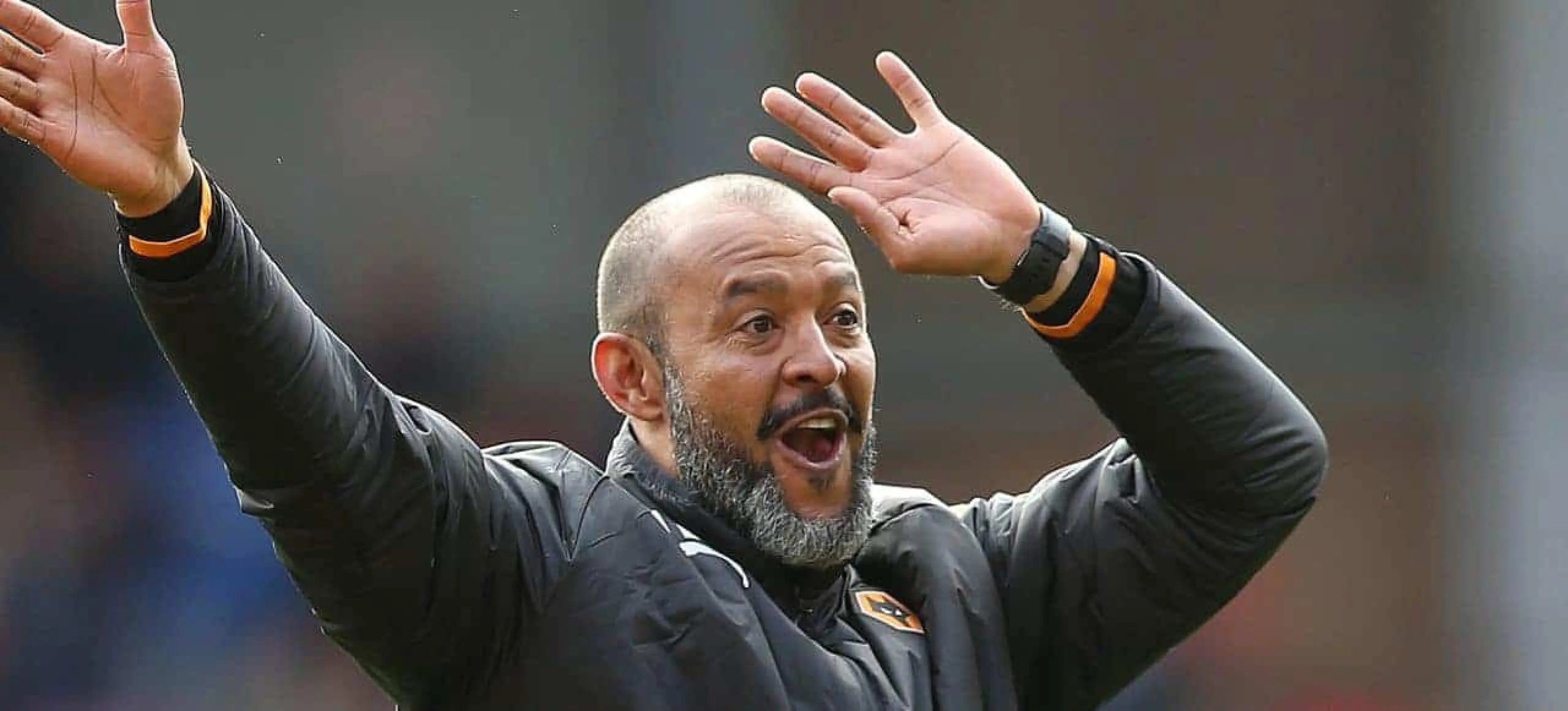 Wolves odds