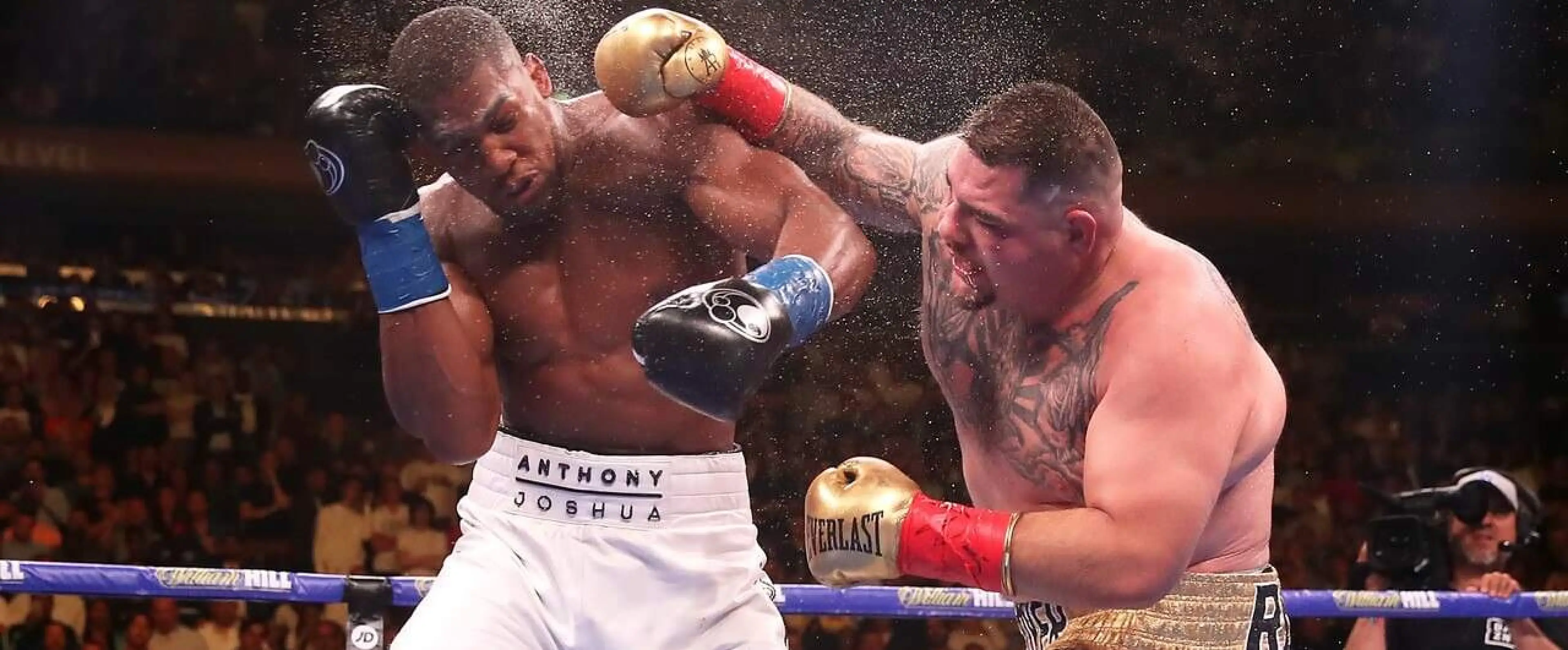 las vegas boxing