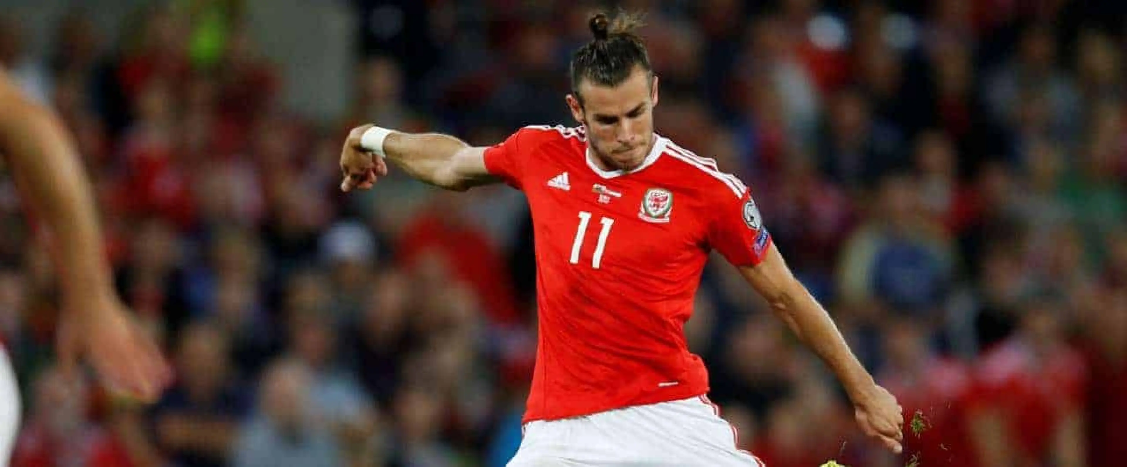 Bale - Wales