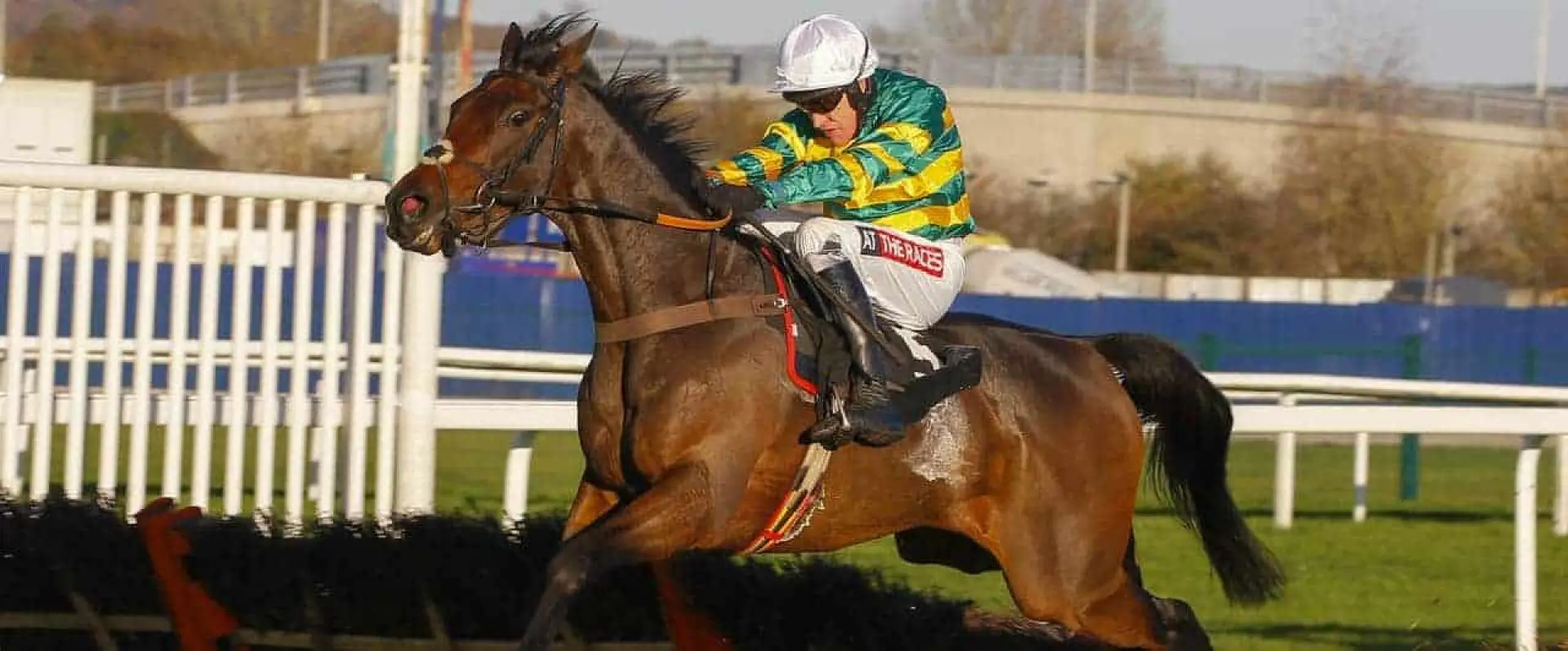 Unowhwatimeanharry odds are favoured over Ptit Zig bets when it comes to Coral's Long Walk Hurdle tips from Ascot.