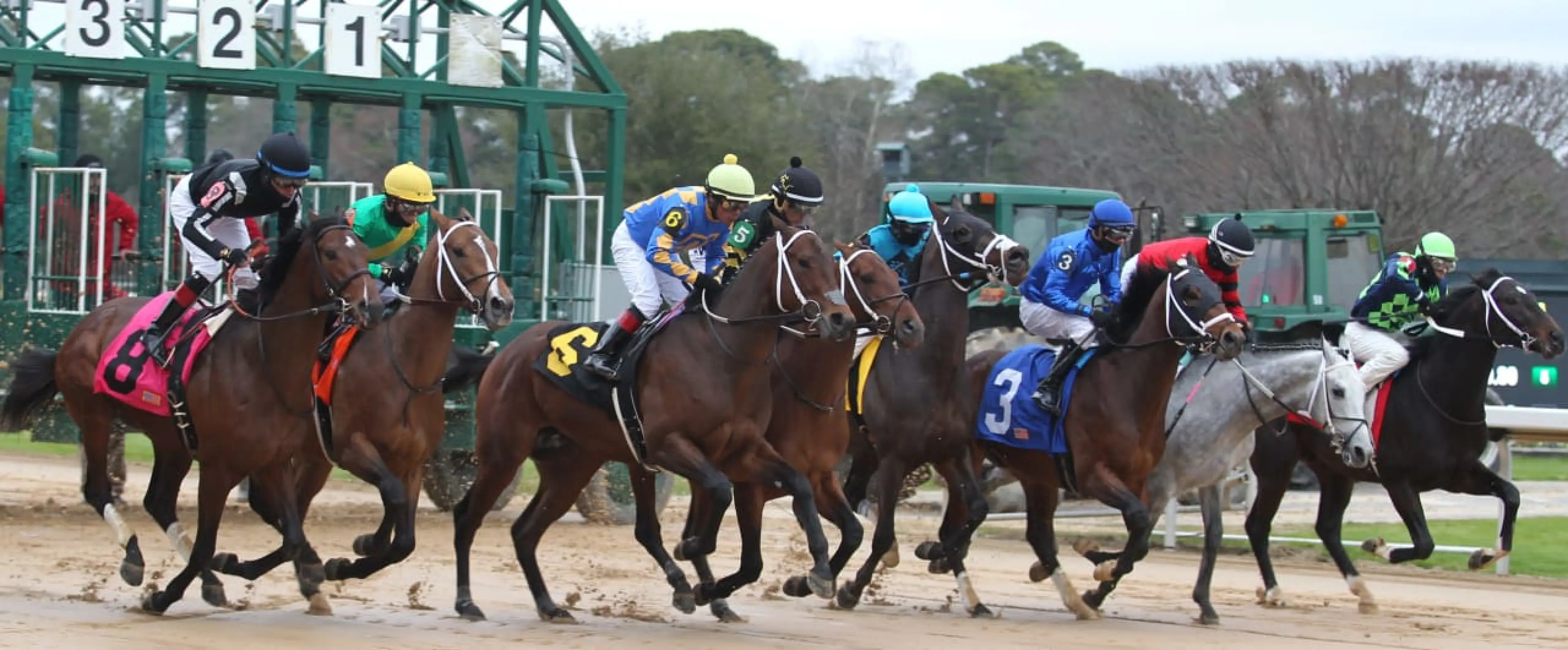 US Horse Racing