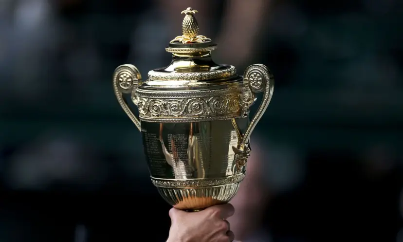 Novak Djokovic wins at Wimbledon, tennis