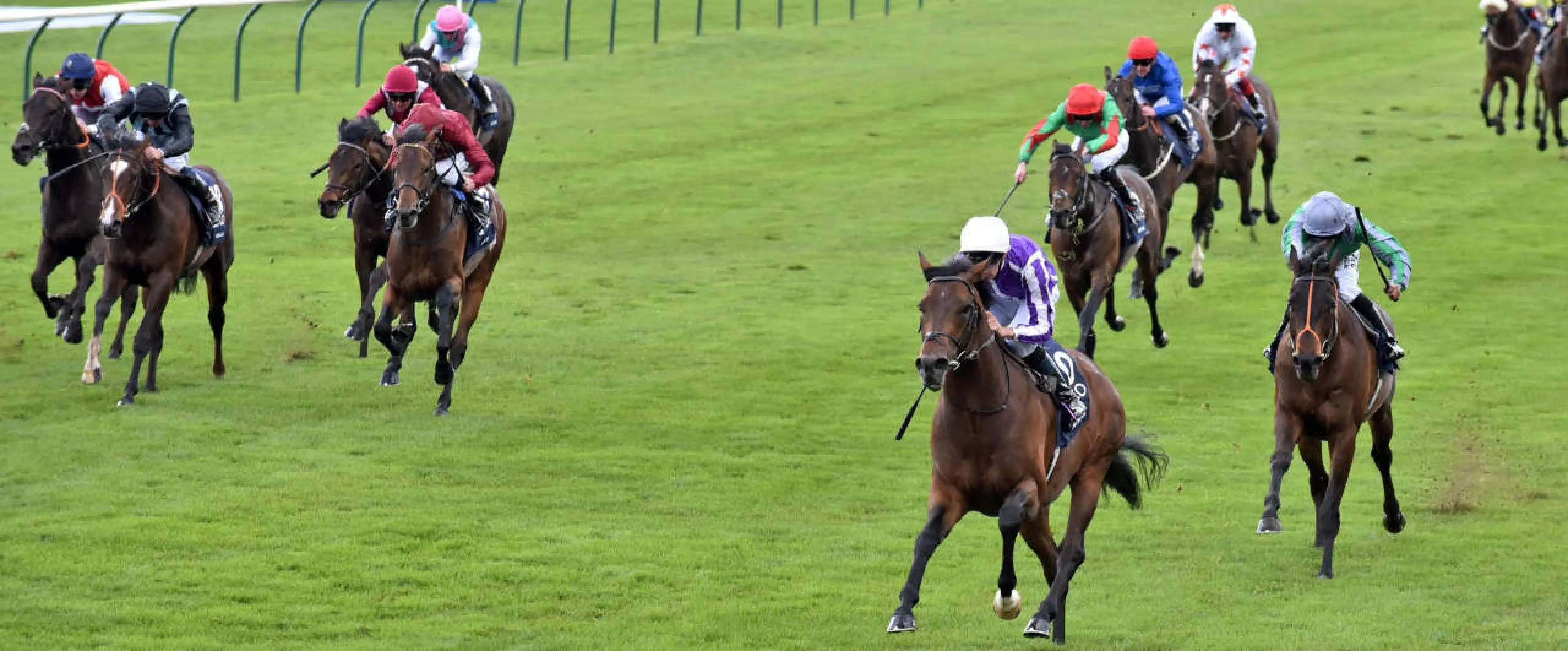 Guineas Newmarket
