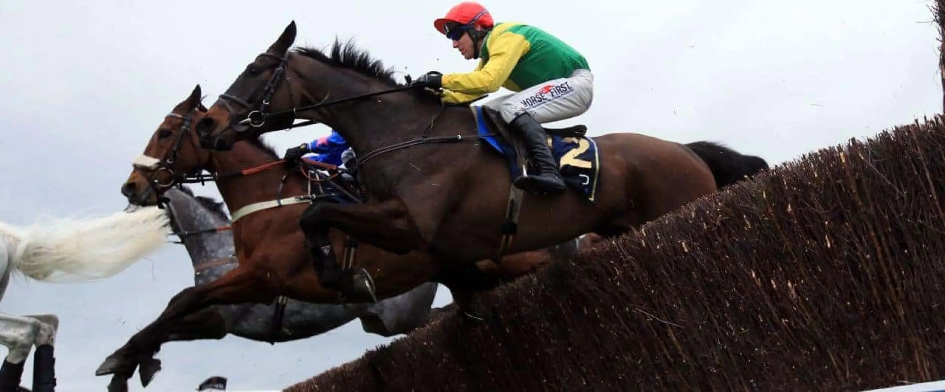 Stayers Triple Crown odds, Sizing John Stayers Triple Crown, Thistelcrack odds, Might Bite odds