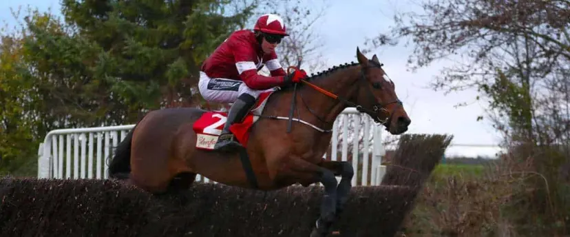 Tiger roll to win grand national