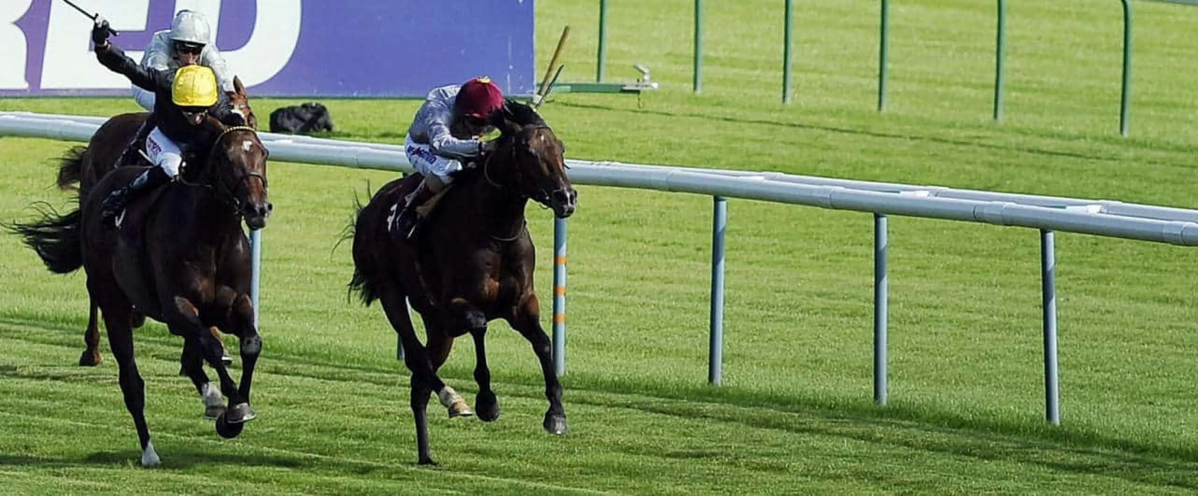Coral's Newmarket tips for October 8 include Abdon bets and The Cashel Man each-way in the Cesarewitch.
