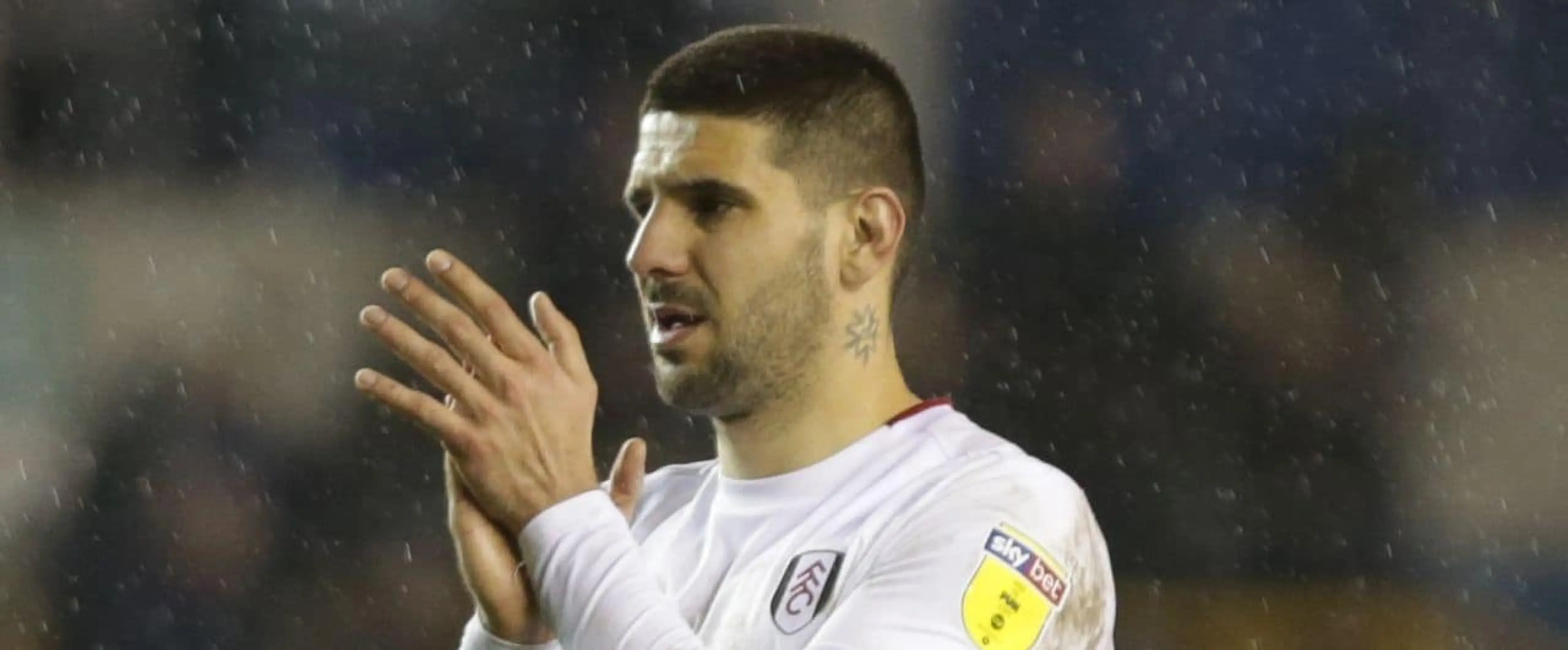 Aleksandar Mitrovic