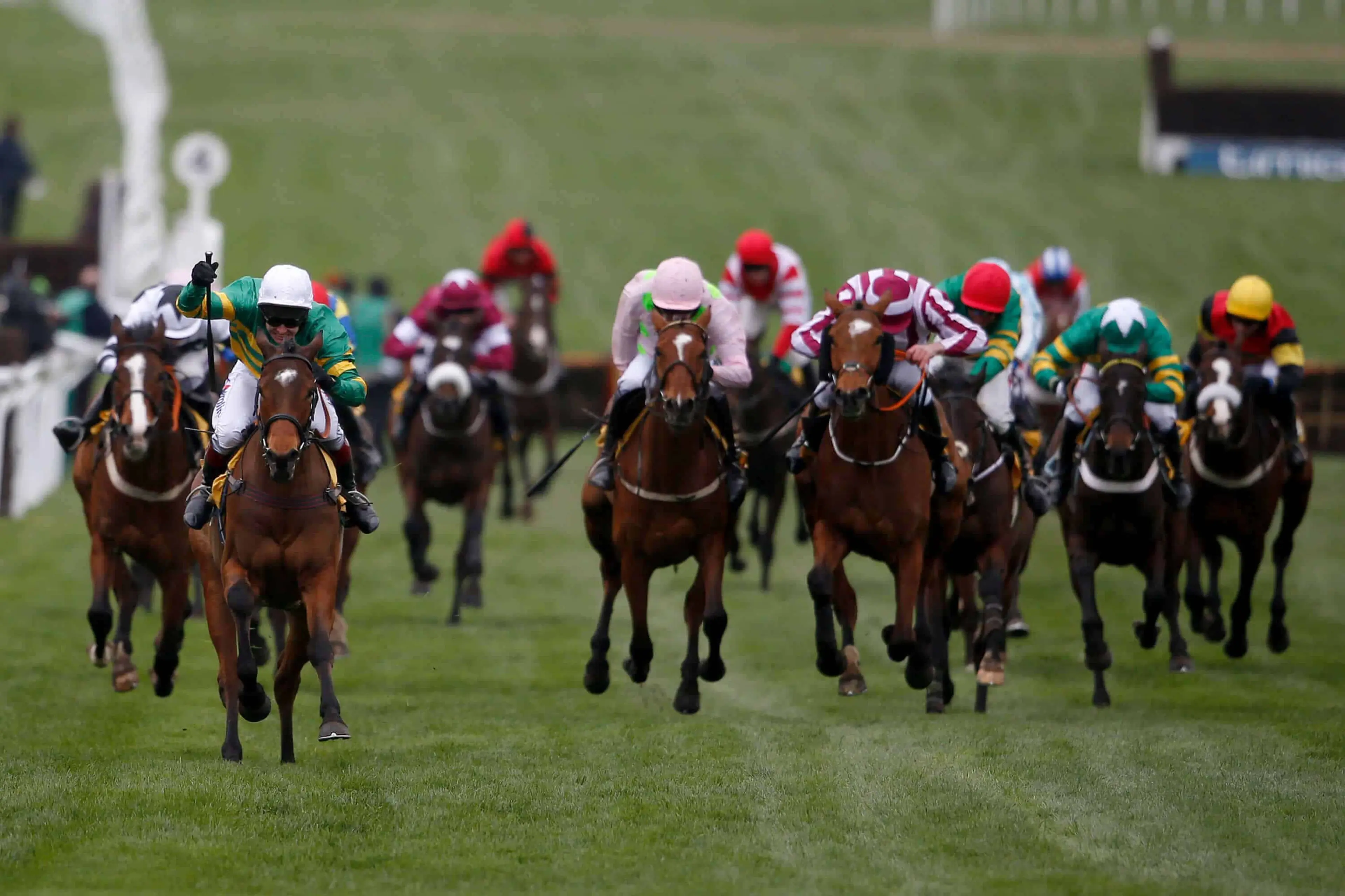 Cheltenham For Novices Guide