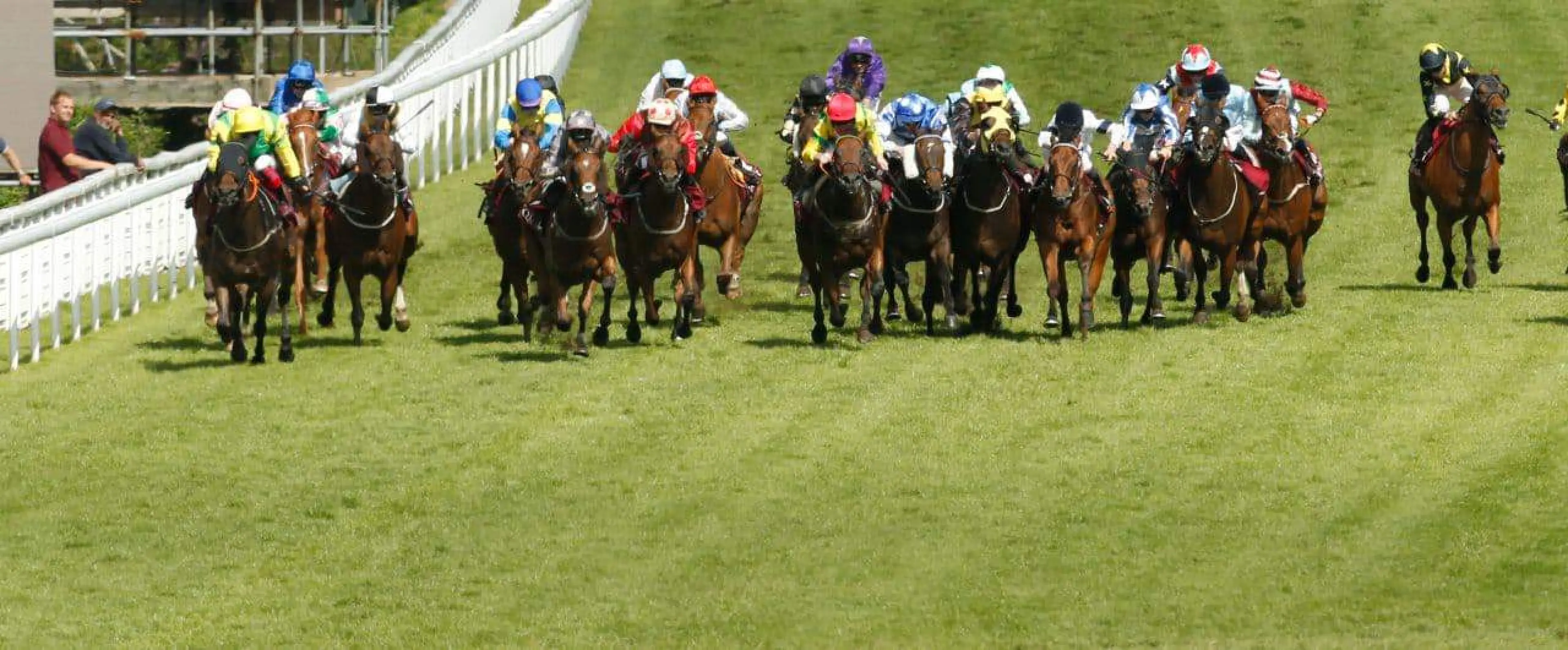 Stewards' Cup