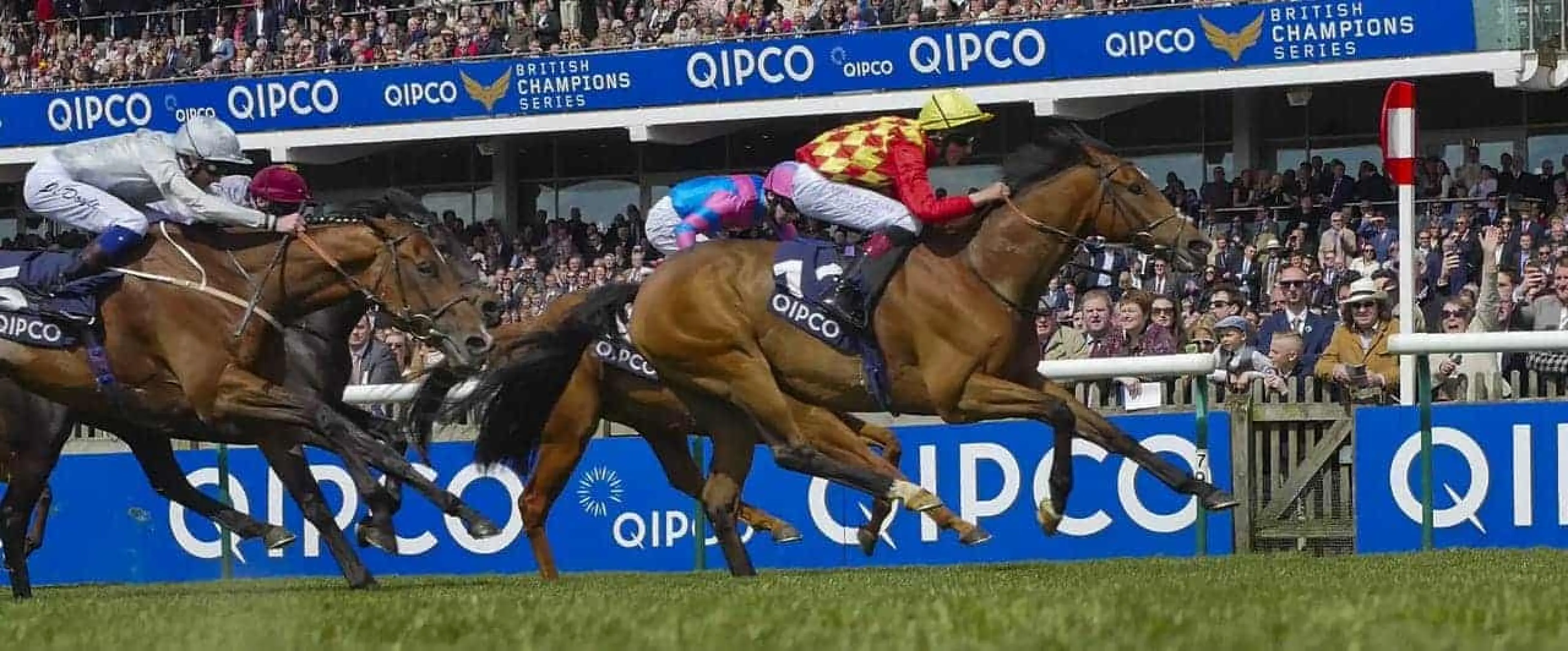 Knight Owl odds to win the 1m SIS Handicap at Leicester (15:15) for trainer James Fanshawe is Coral's bet of the day for October 24.