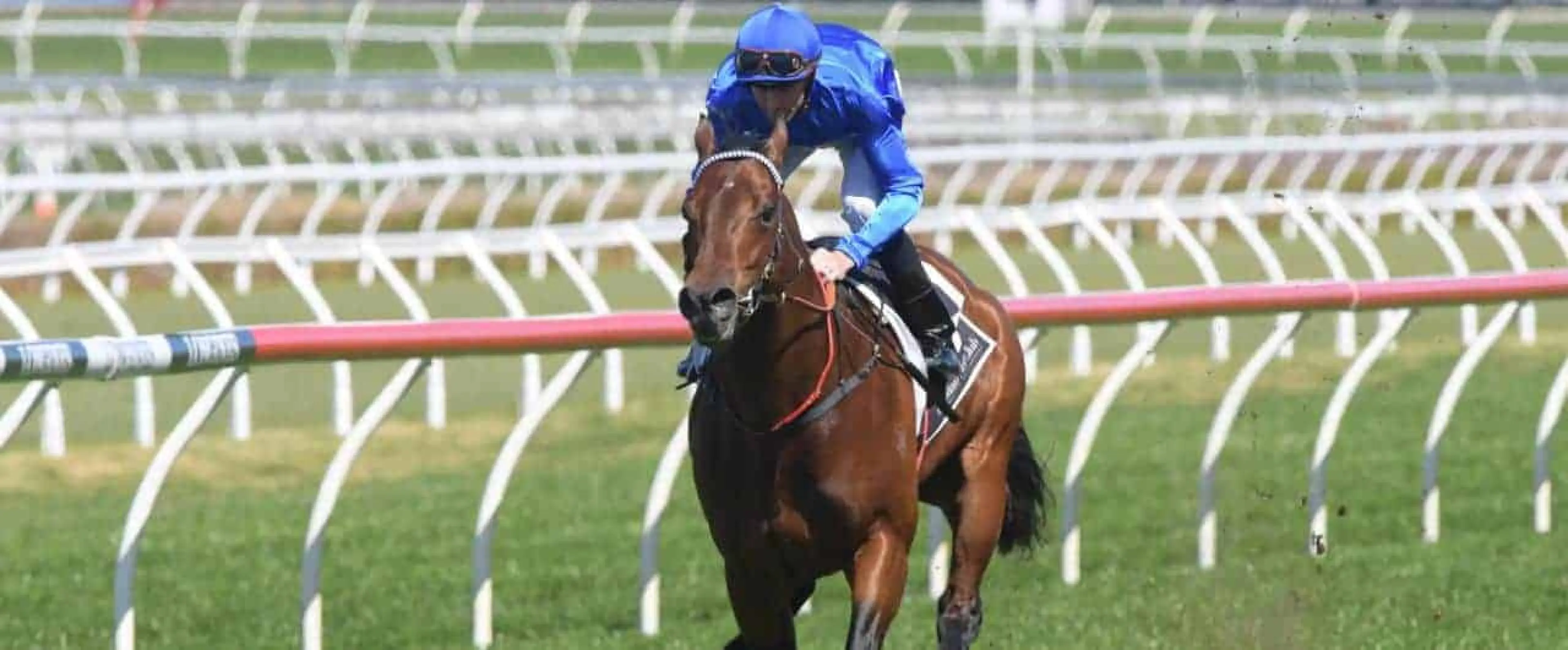 Winx