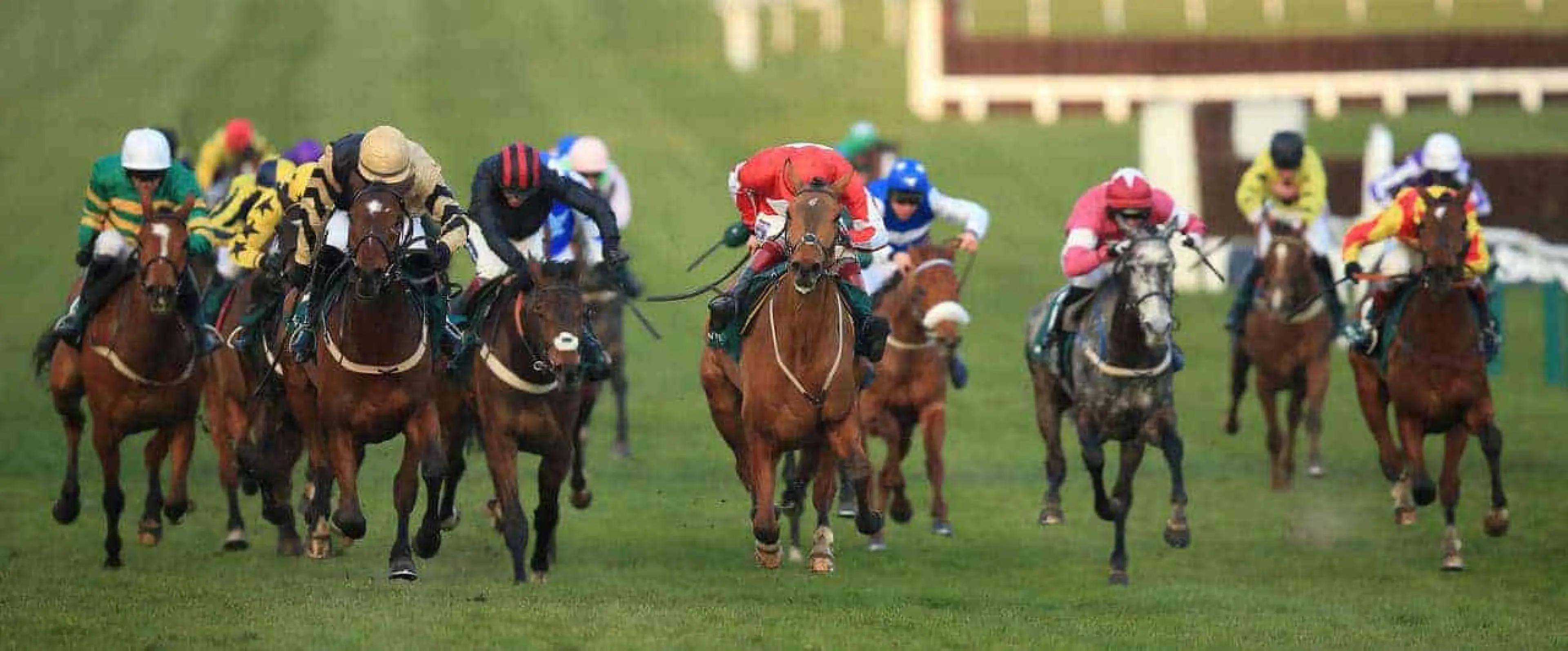 Ballyandy odds in Cheltenham The Open Day Three Tips