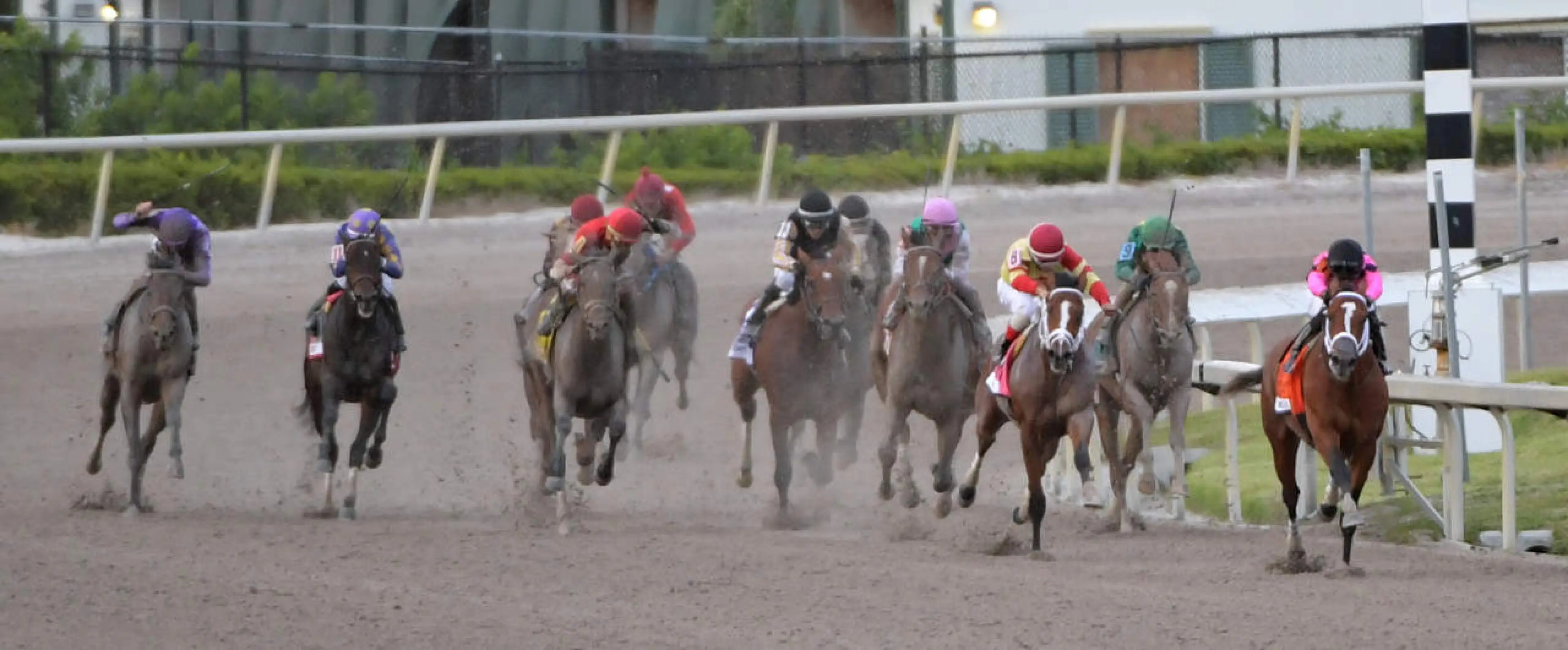 Horse Racing Gulfstream Park