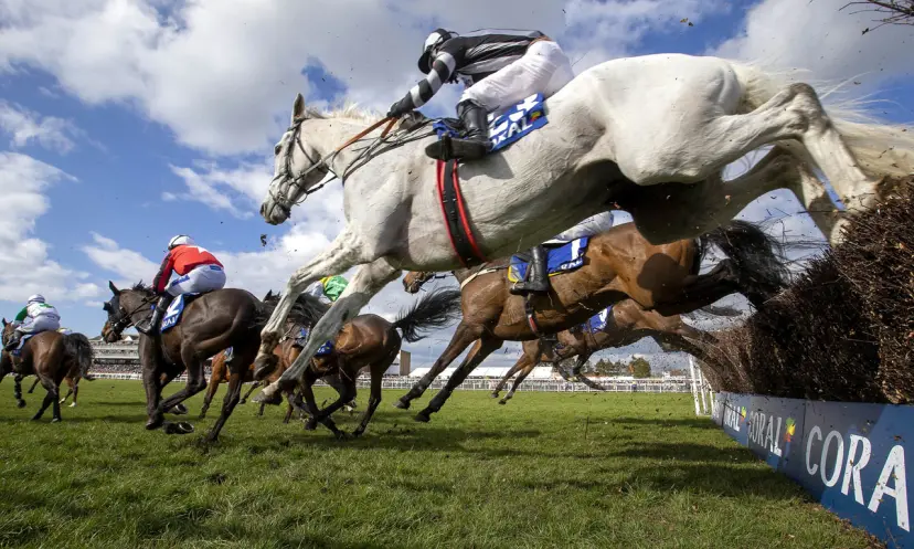 Coral Scottish Grand National, horse racing