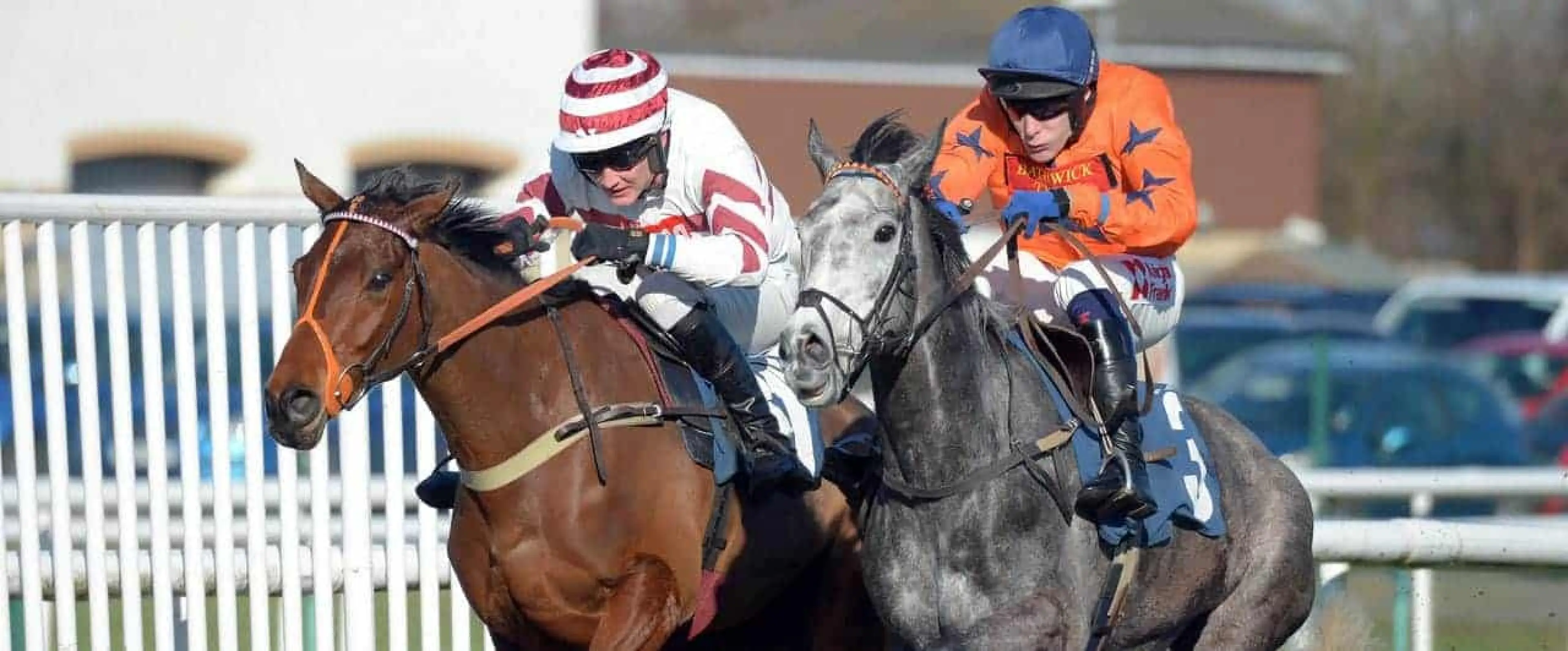 Chic Theatre odds are joined by Soupy Soups bets among Market Rasen and Wincanton tips for Thursday, December 1.