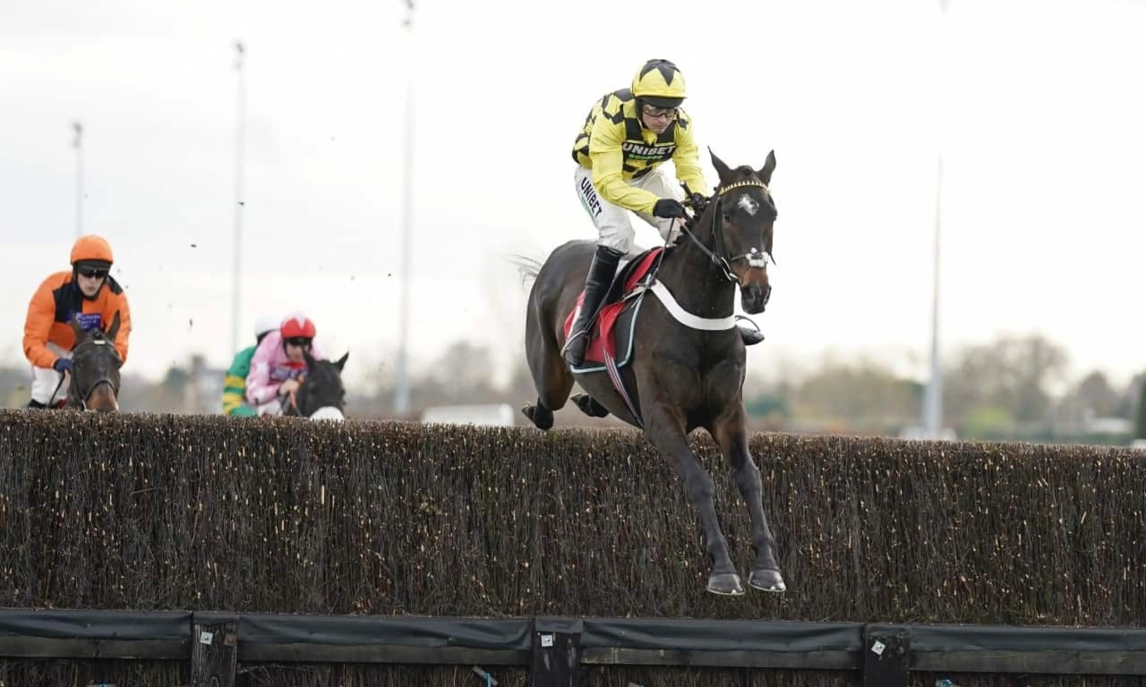 Shishkin, Cheltenham Festival Specials
