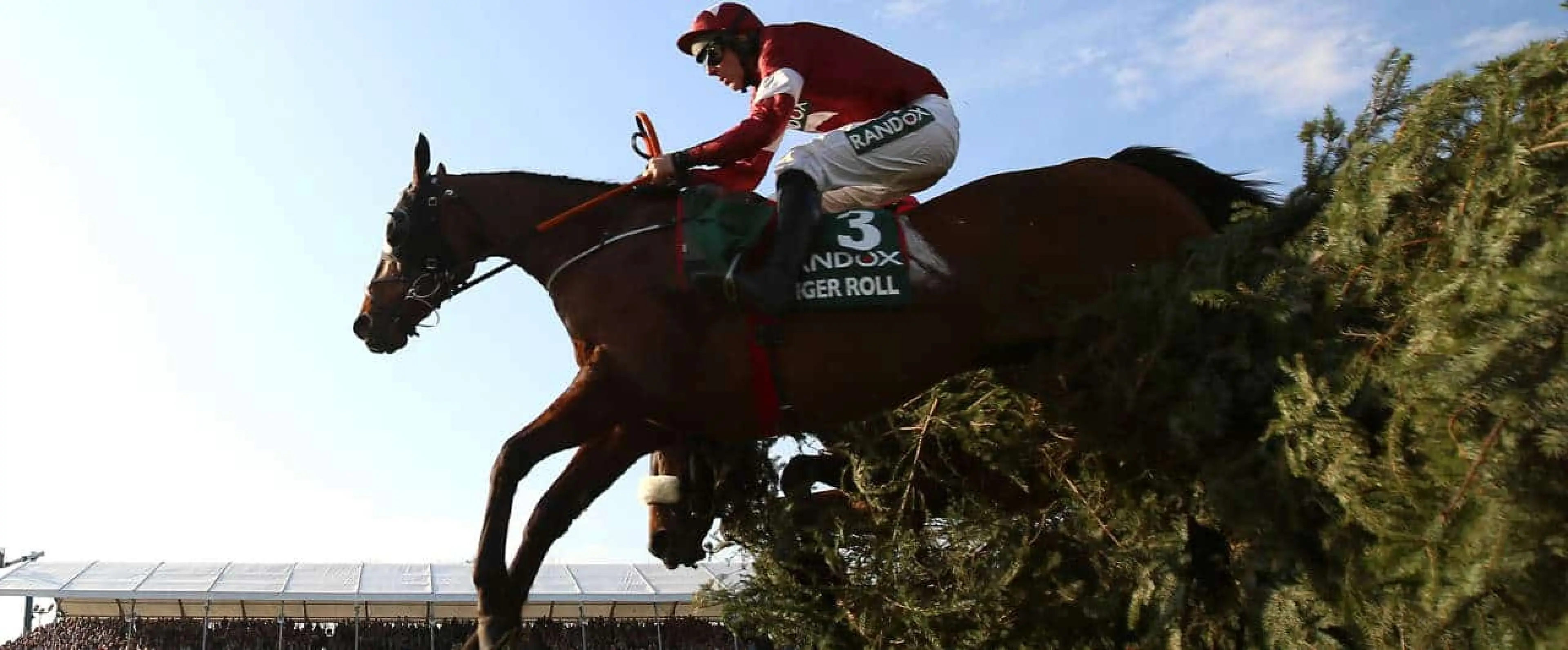 Tiger Roll