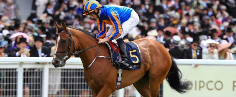 Clemmie odds, 1000 Guineas odds, Newmarket odds