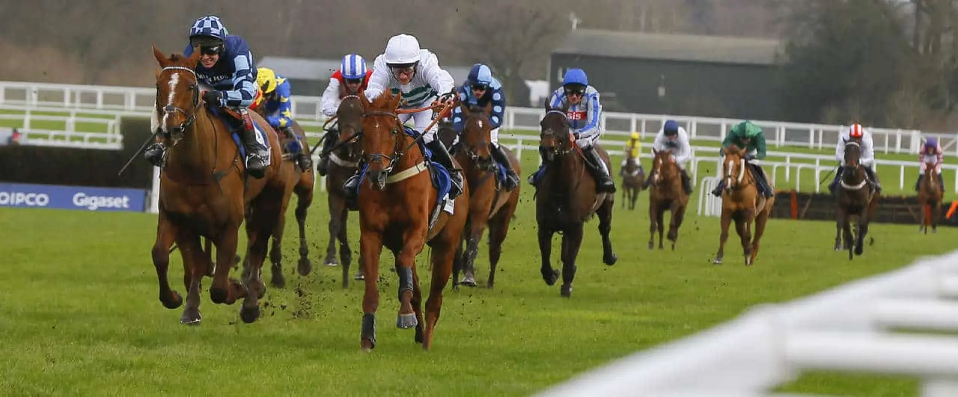 Baron Alco odds and Formidableopponent bets are among Coral's Plumpton punts and Musselburgh tips for November 14.