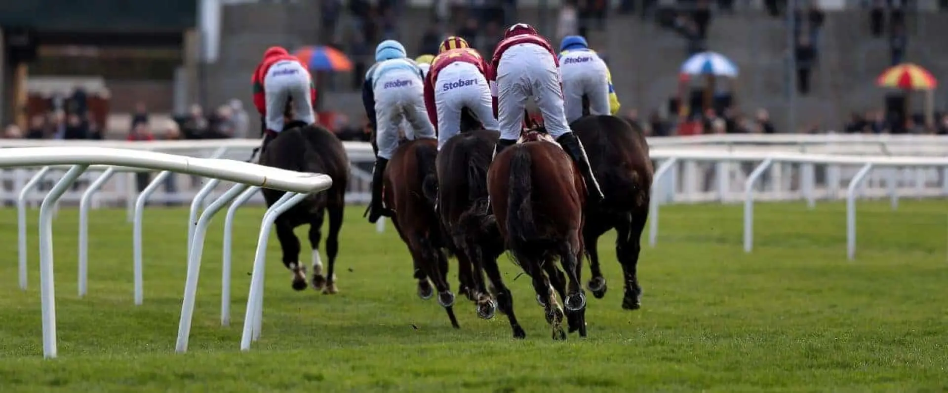 Cheltenham Festival odds, Cheltenham odds, Horse Racing odds, Ms Parfois odds, Maria's Benefit odds, Black Corton odds