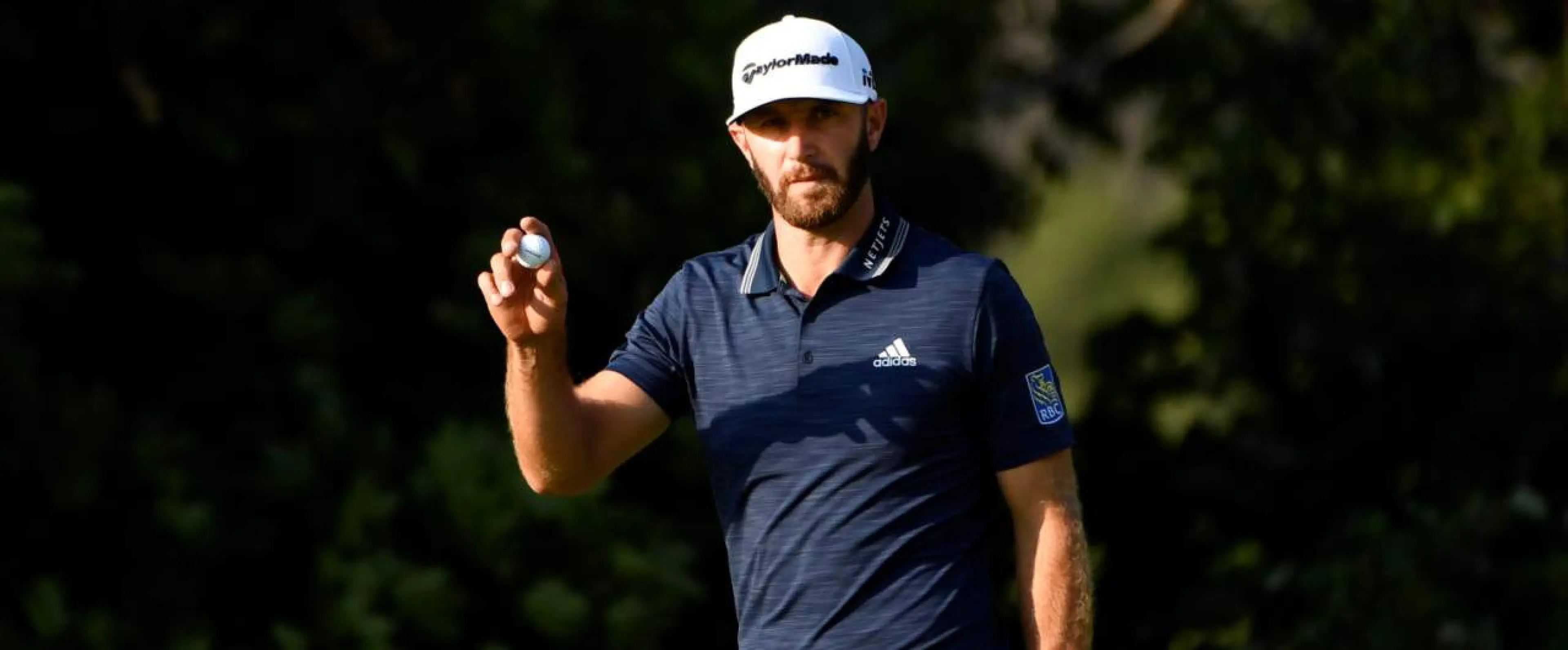 Dustin Johnson