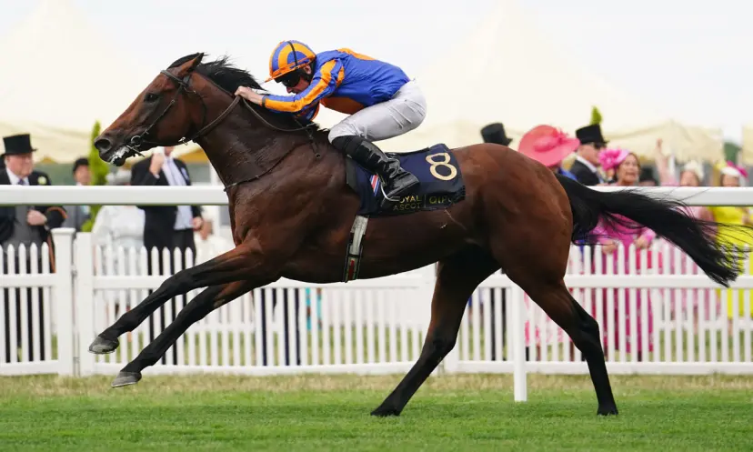 Paddington, Queen Elizabeth II Stakes betting odds, horse racing
