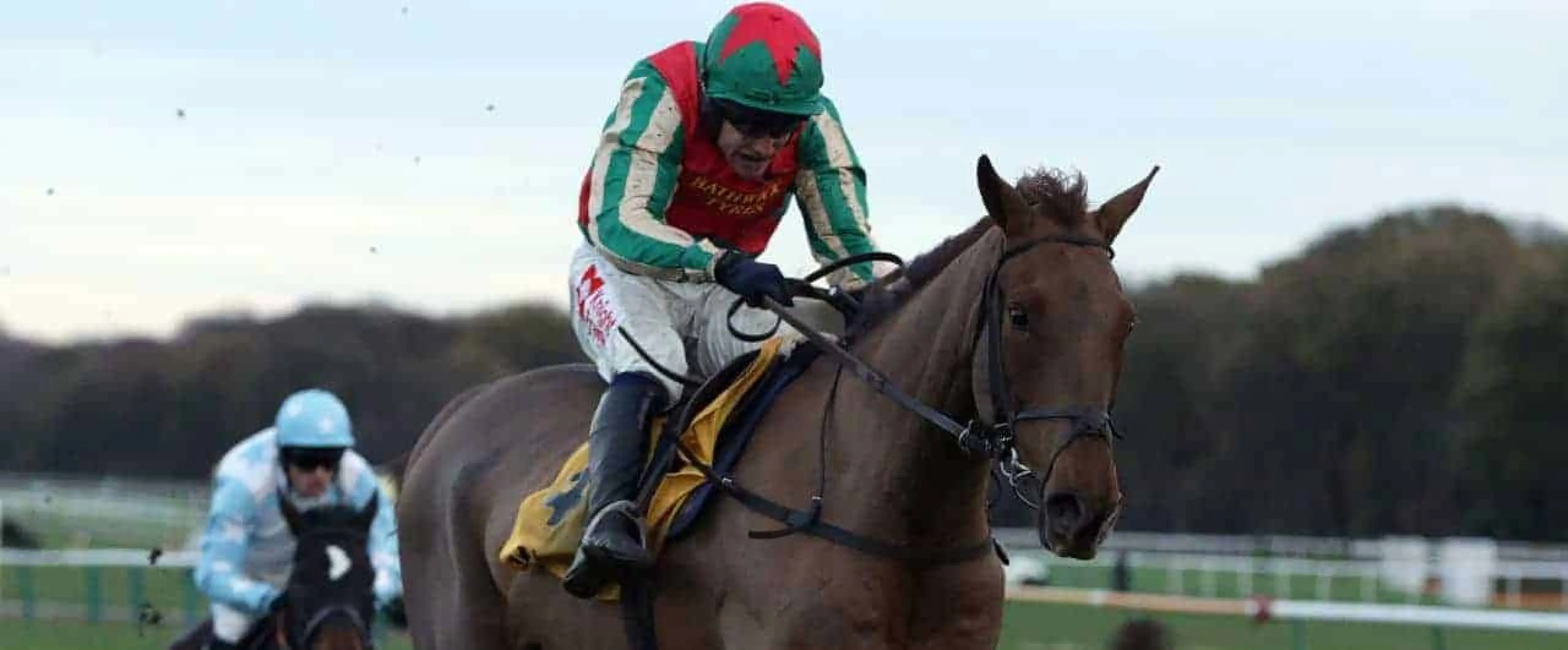 Saturday ITV Racing tips odds, Vieux Lion Rouge