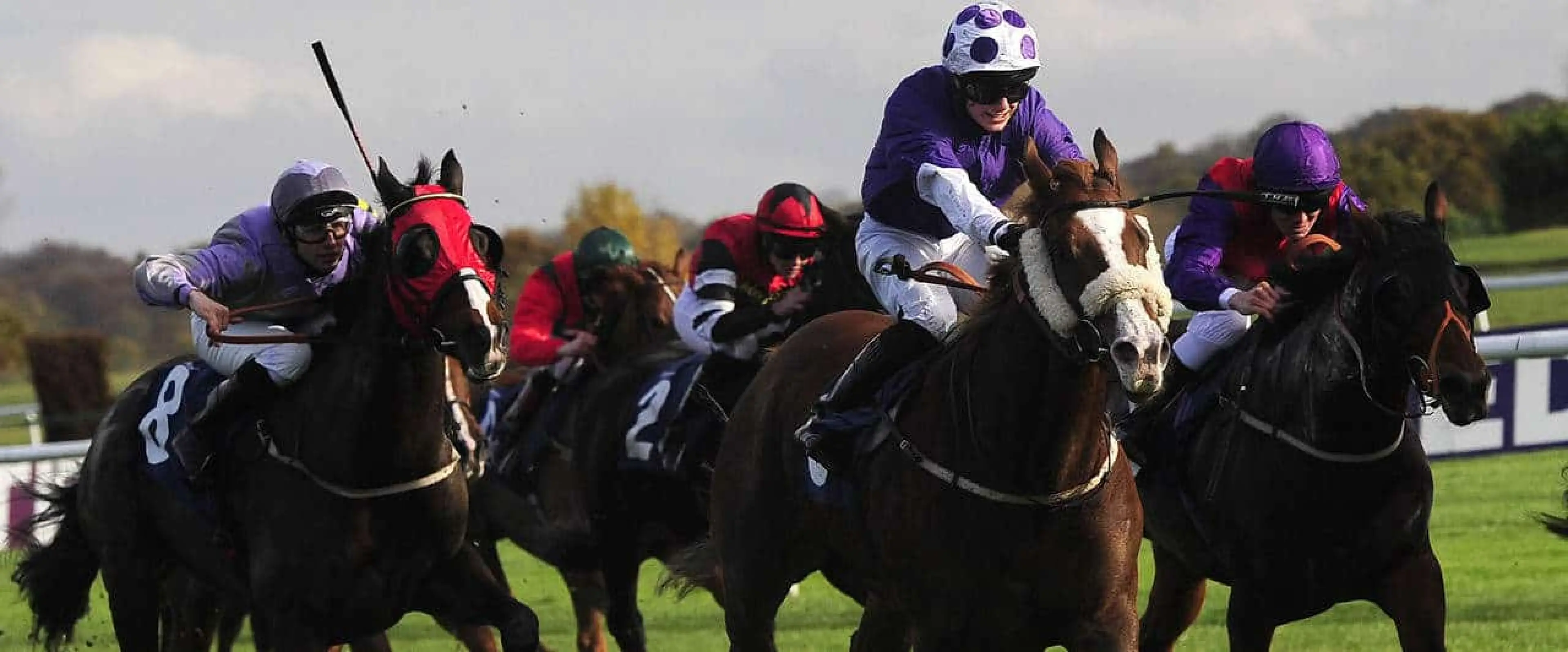 Coral's bet of the day for October 5th is taking Chookie Royale odds from among Kempton all-weather tips to win the 6f conditions stakes at 19:50.