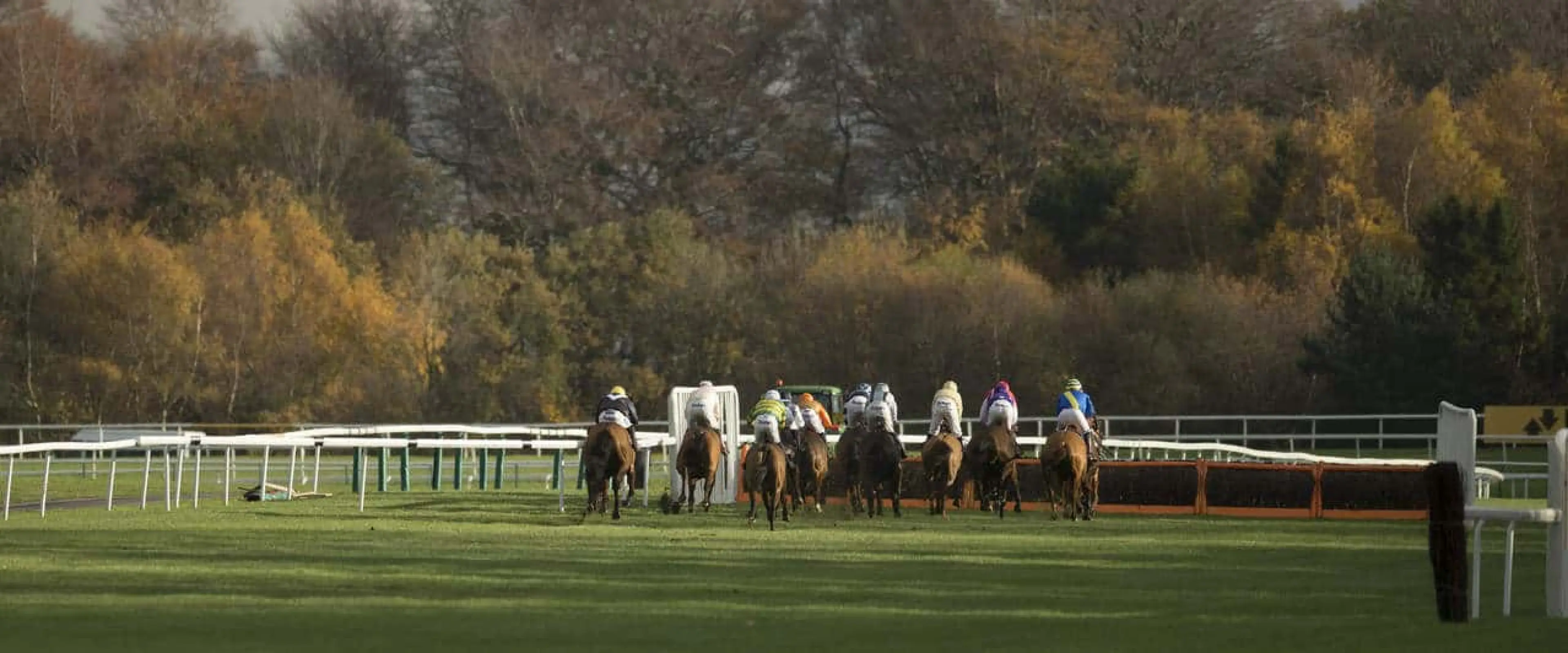 Haydock tips November 19