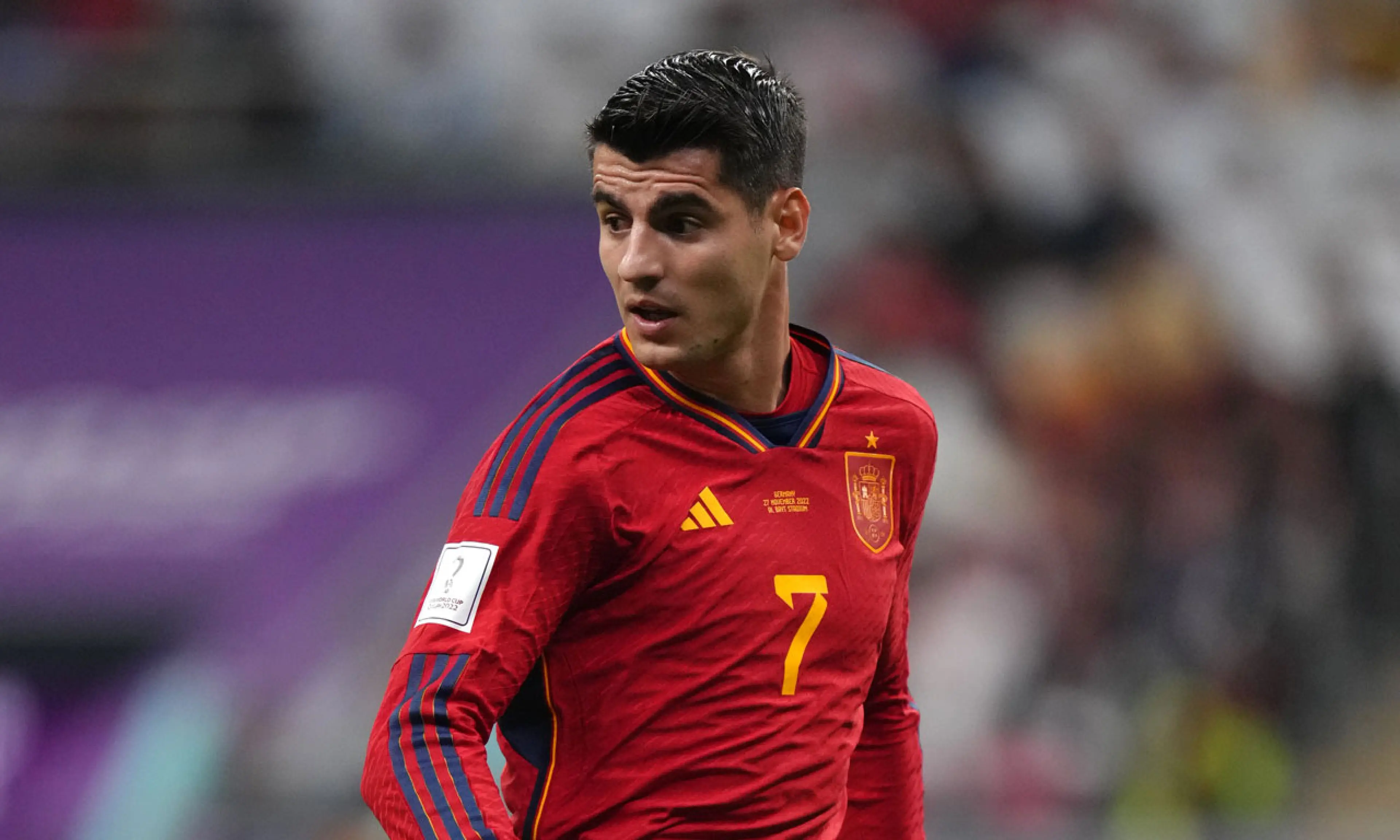 Alvaro Morata, Japan v Spain betting odds, World Cup 2022, football
