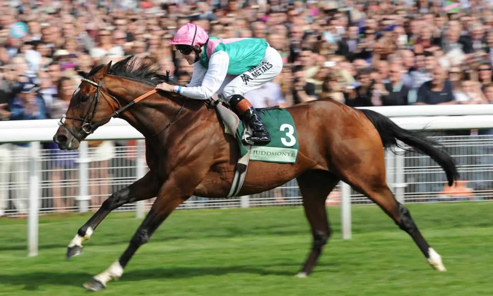 Frankel, 2000 Guineas winners, horse racing