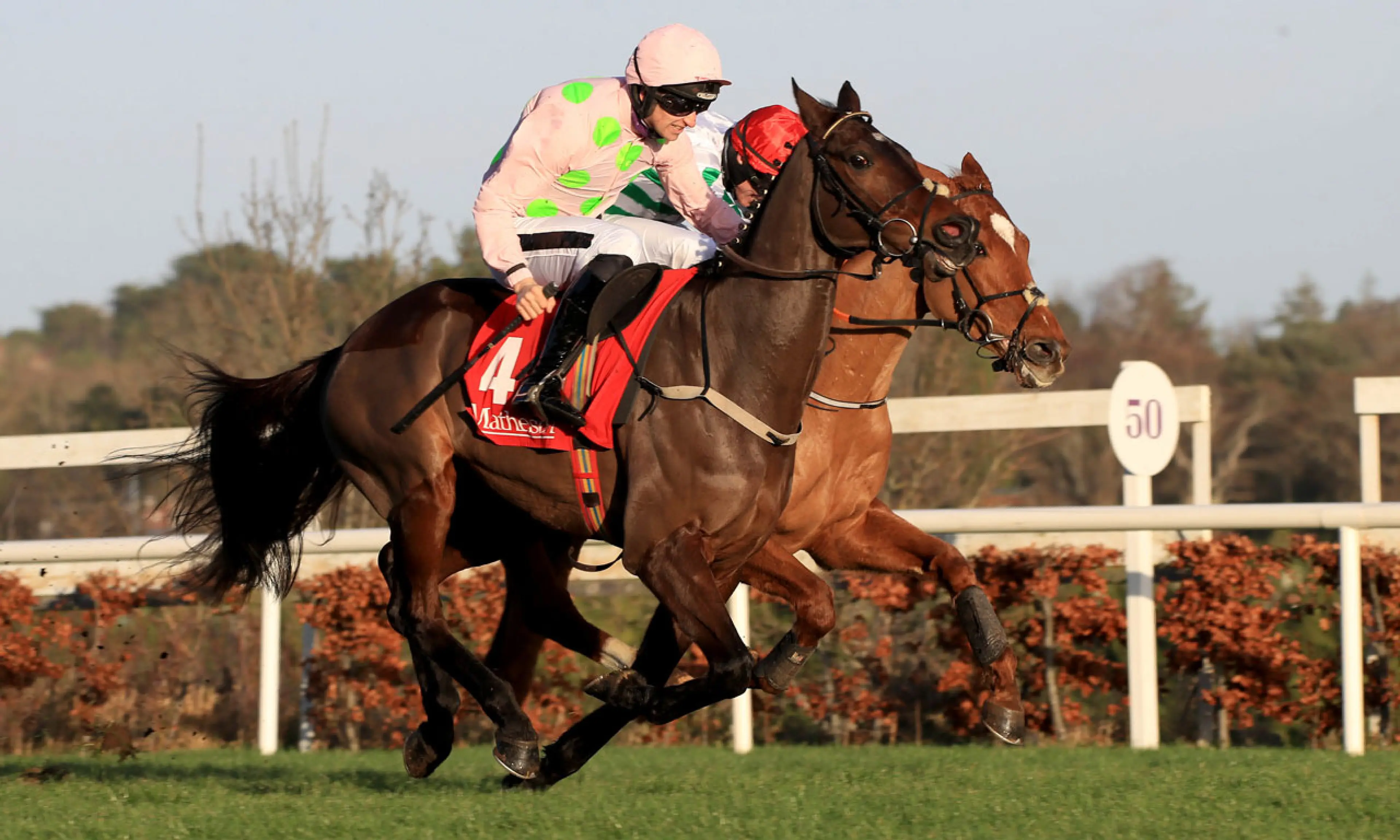Sharjah, Matheson Hurdle betting odds, horse racing, Leopardstown