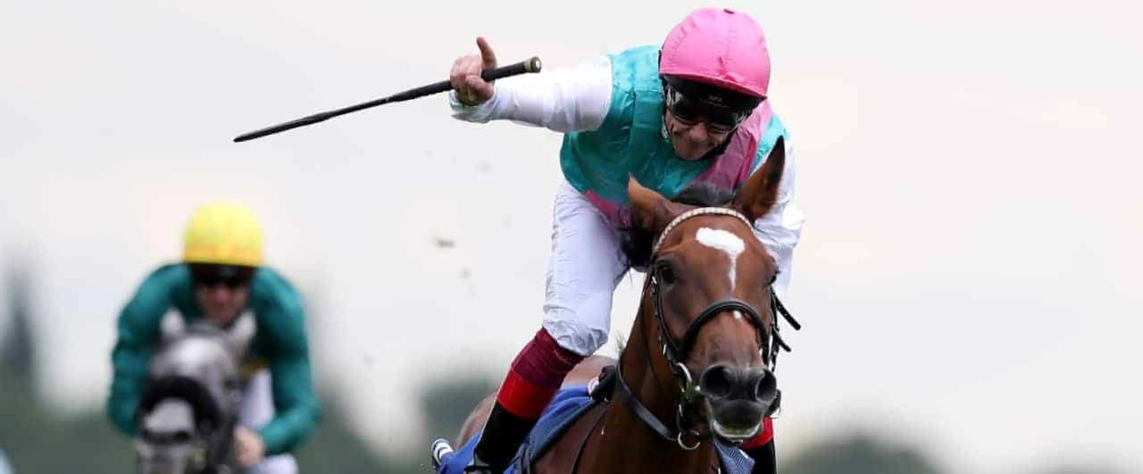 Enable