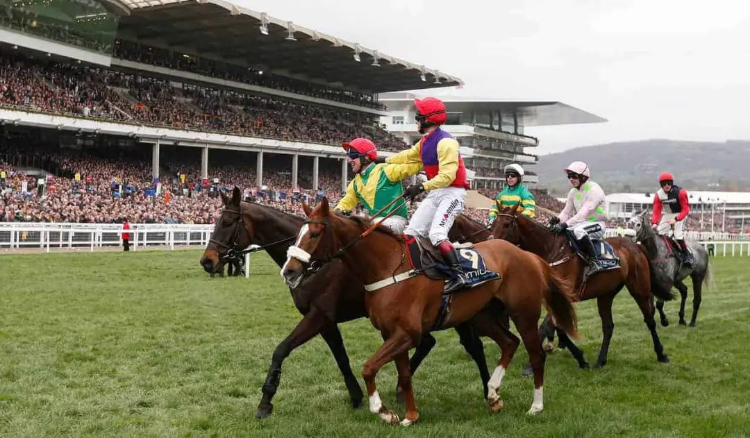Cheltenham Festival: Gold Cup Past Winners