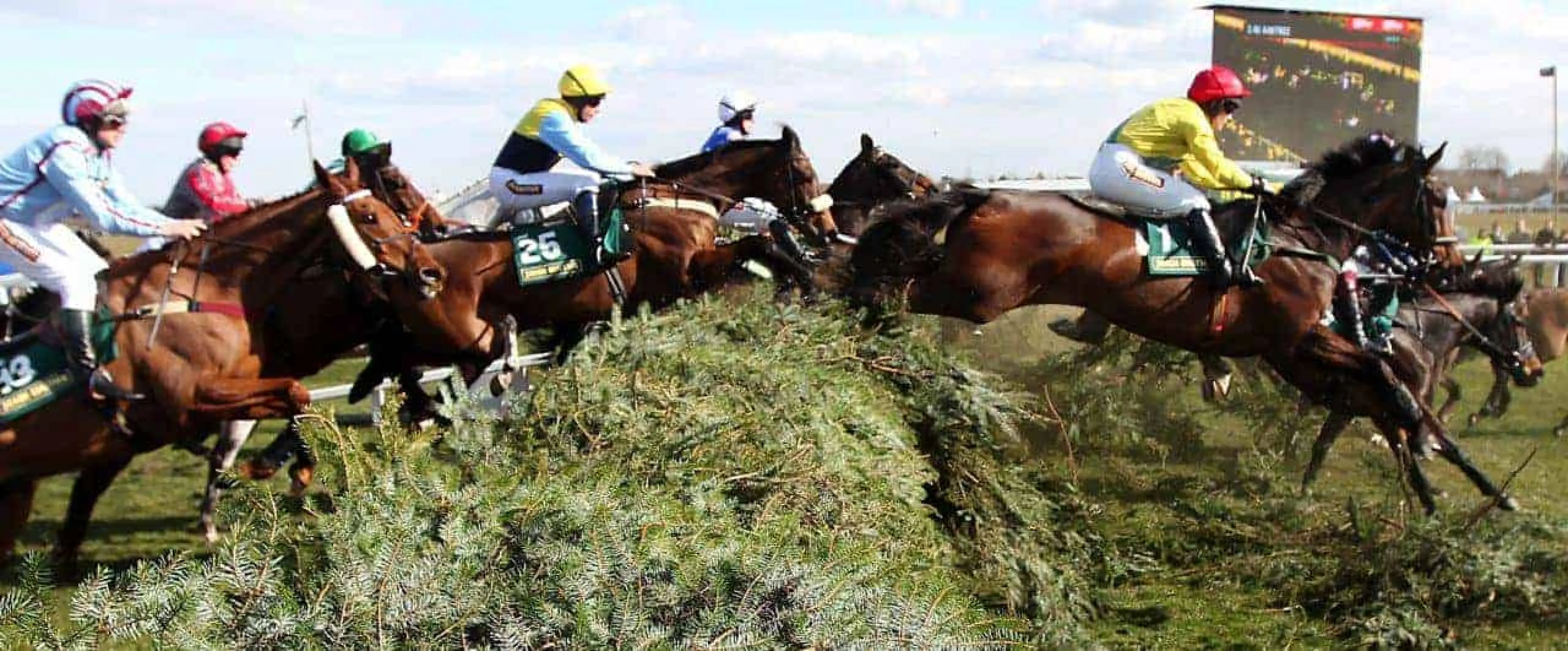 Aintree Grand National