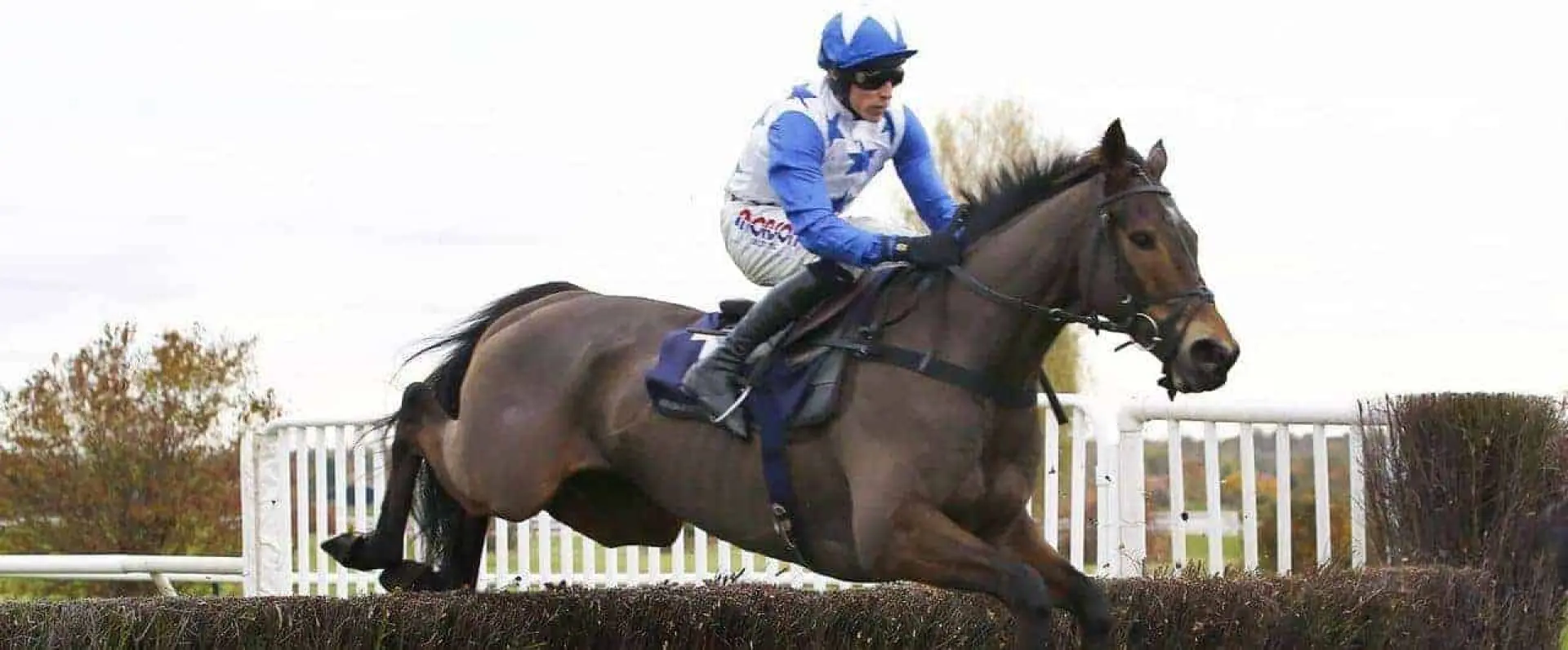 Churchtown Champ runs for the Coral Champions Club and Dan Skelton in the Kauto Star Novices' Chase on Boxing Day.