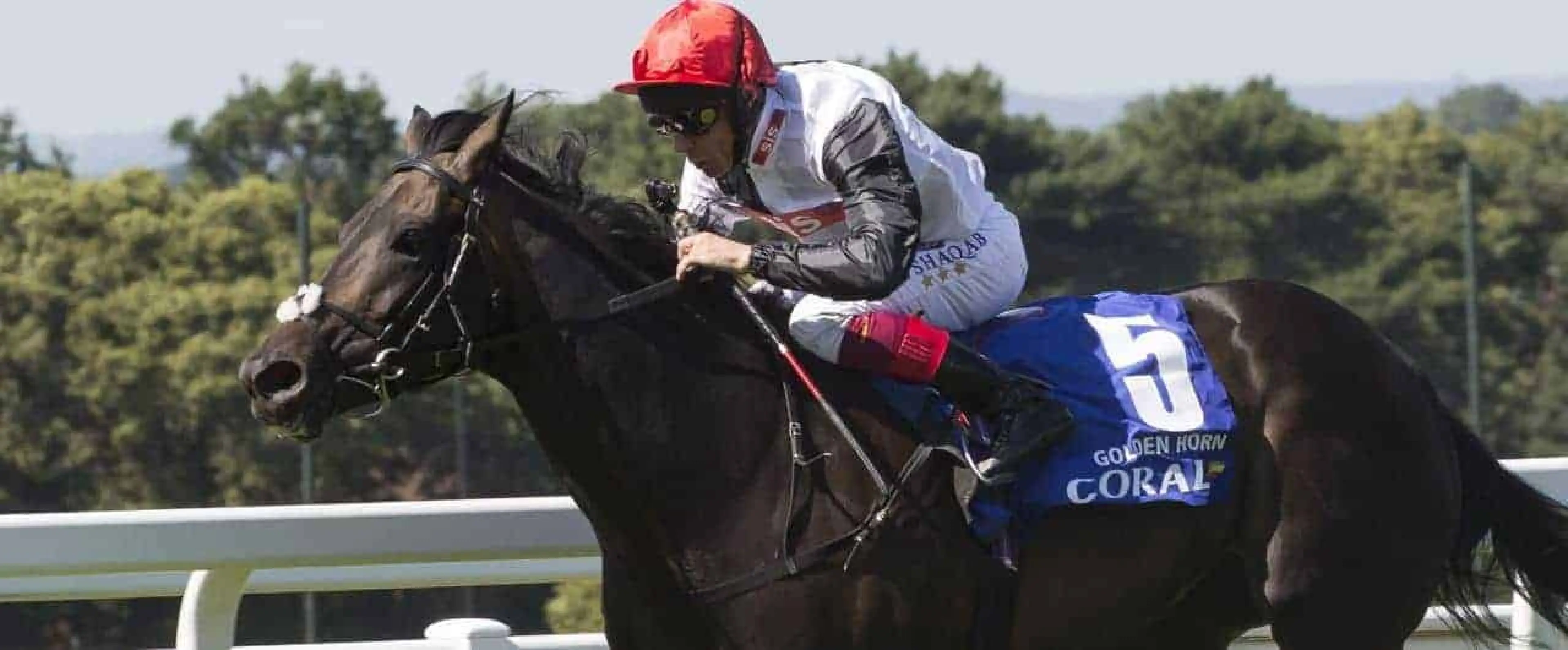 Golden Horn