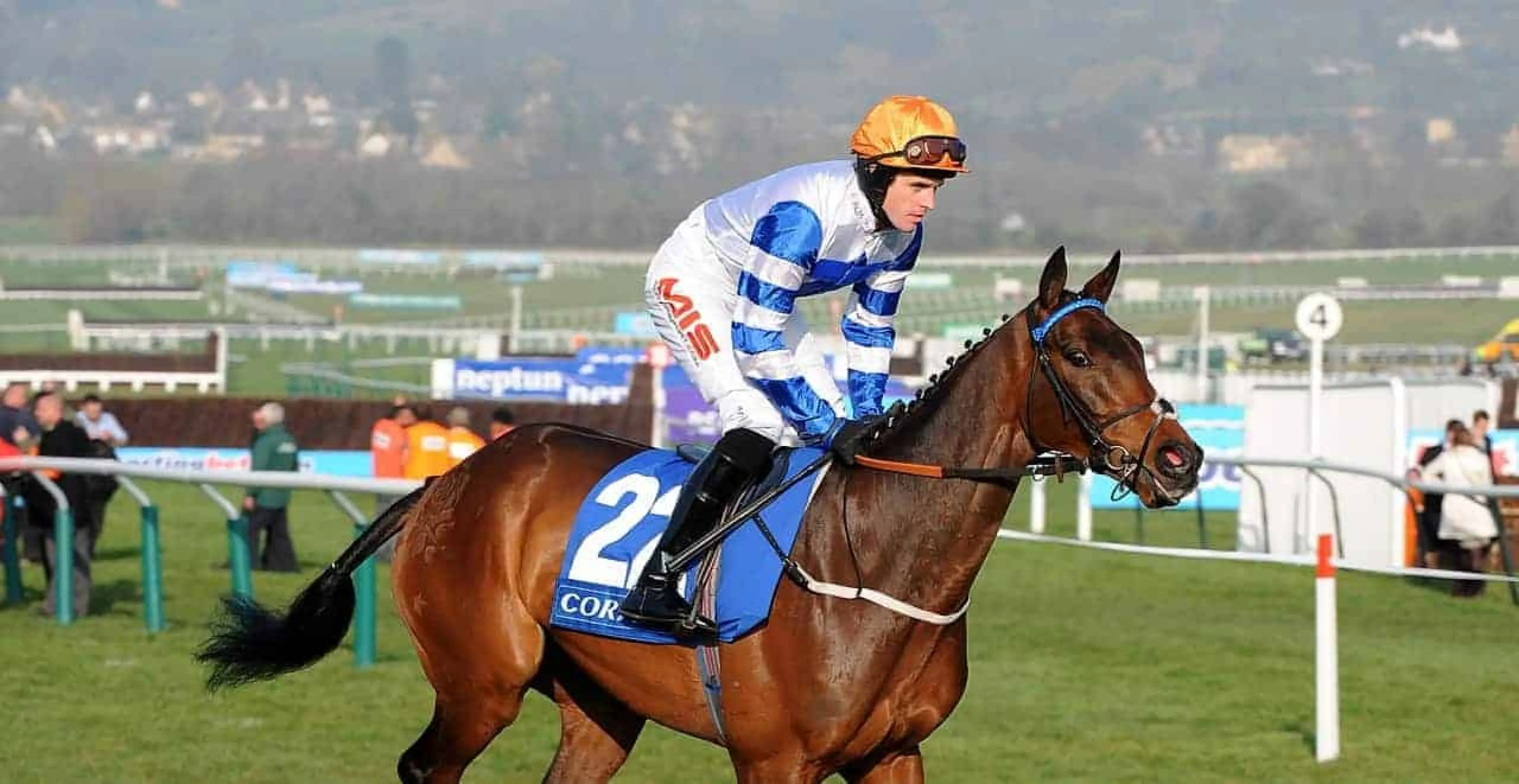 Cheltenham Festival - Son of Flicka ridden by jockey Jason Maguire
