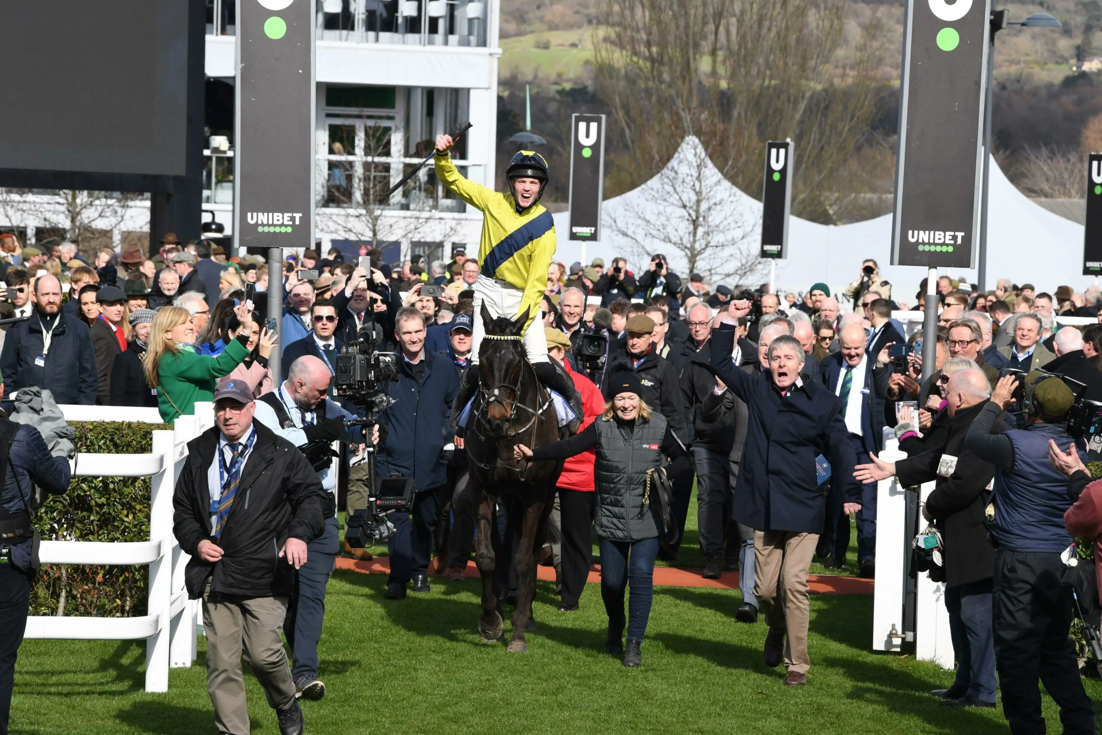 Supreme Novices’ Hurdle Race (Grade 1)