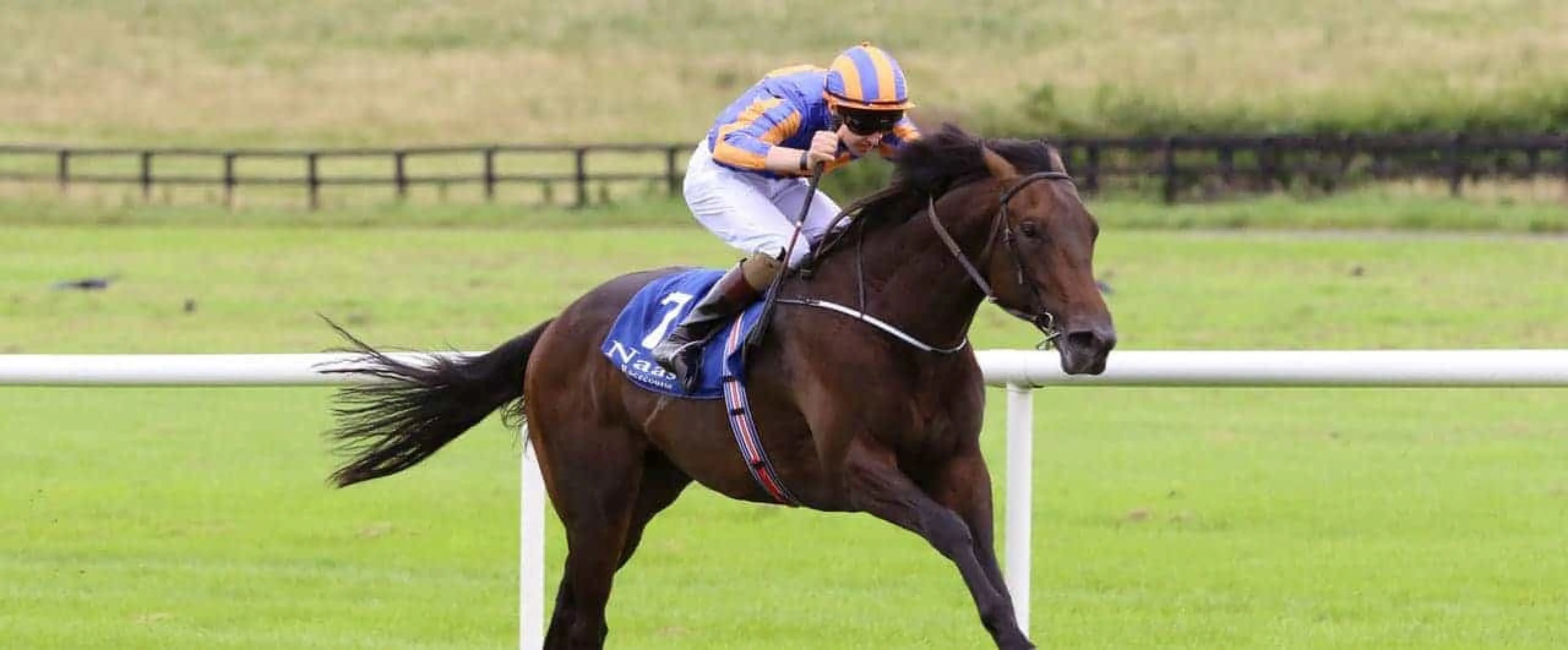Whitecliffsofdover features among Coral's Newmarket Cambridgeshire day one tips in the Tattersalls Stakes.